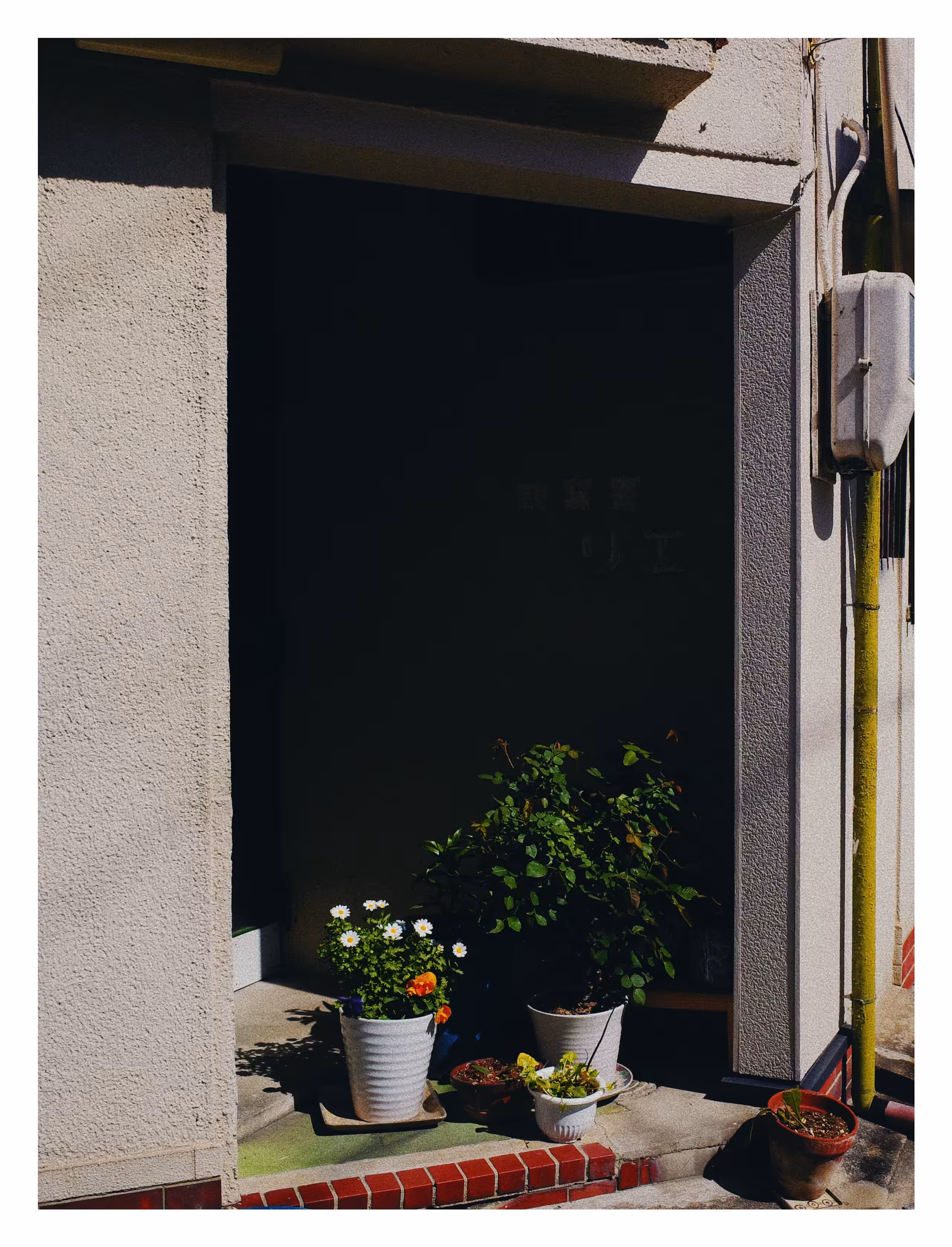 Rodeo post #545: Banalography #024