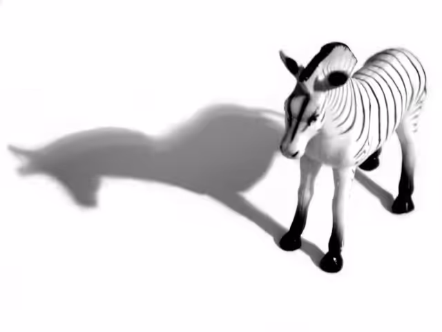 GOOD LUCK ZEBRA