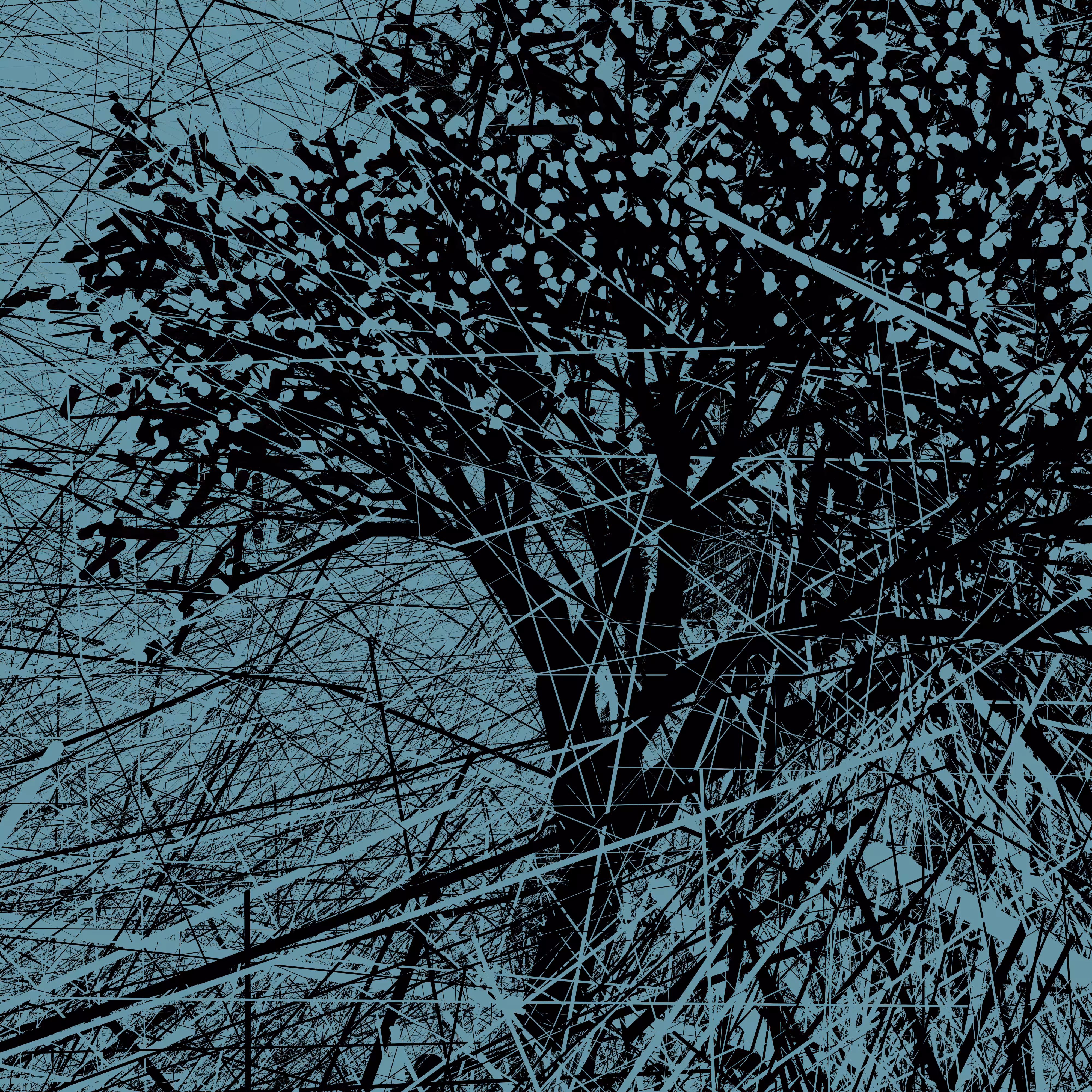 A Portrait of the Tree
