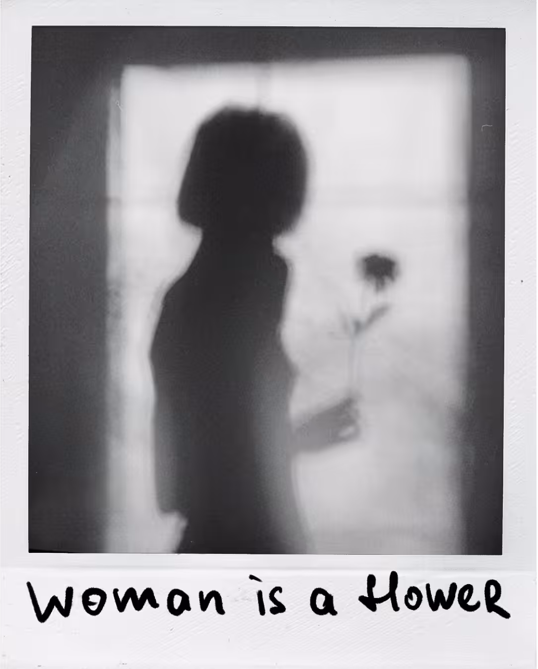 Polaroid 114