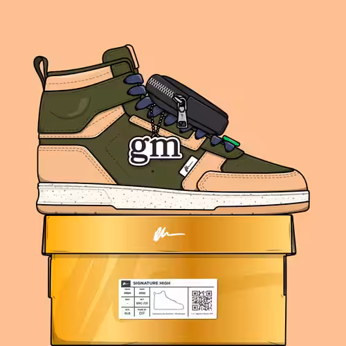 Signature Sneakers Highs #388