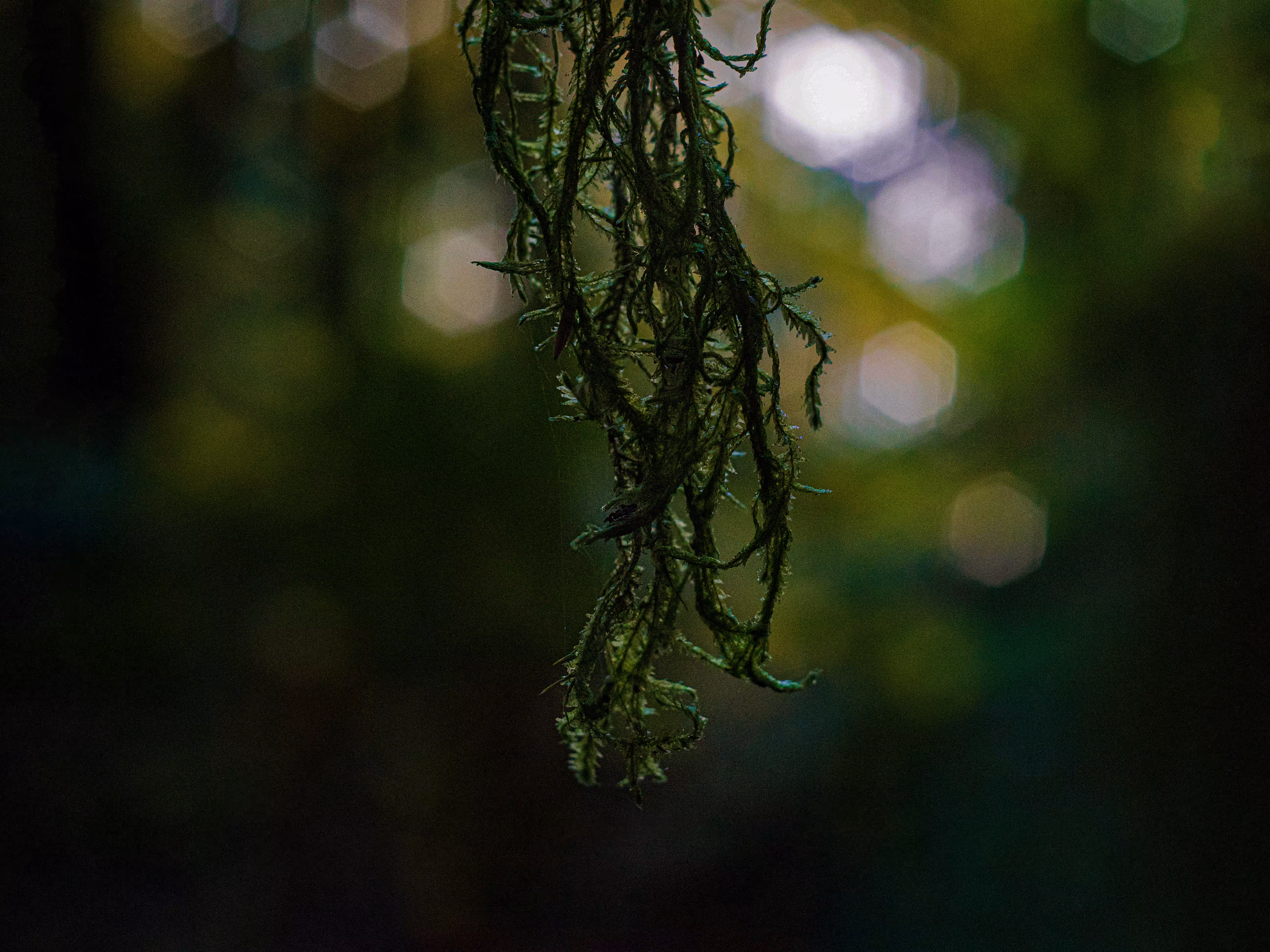 Tendrils