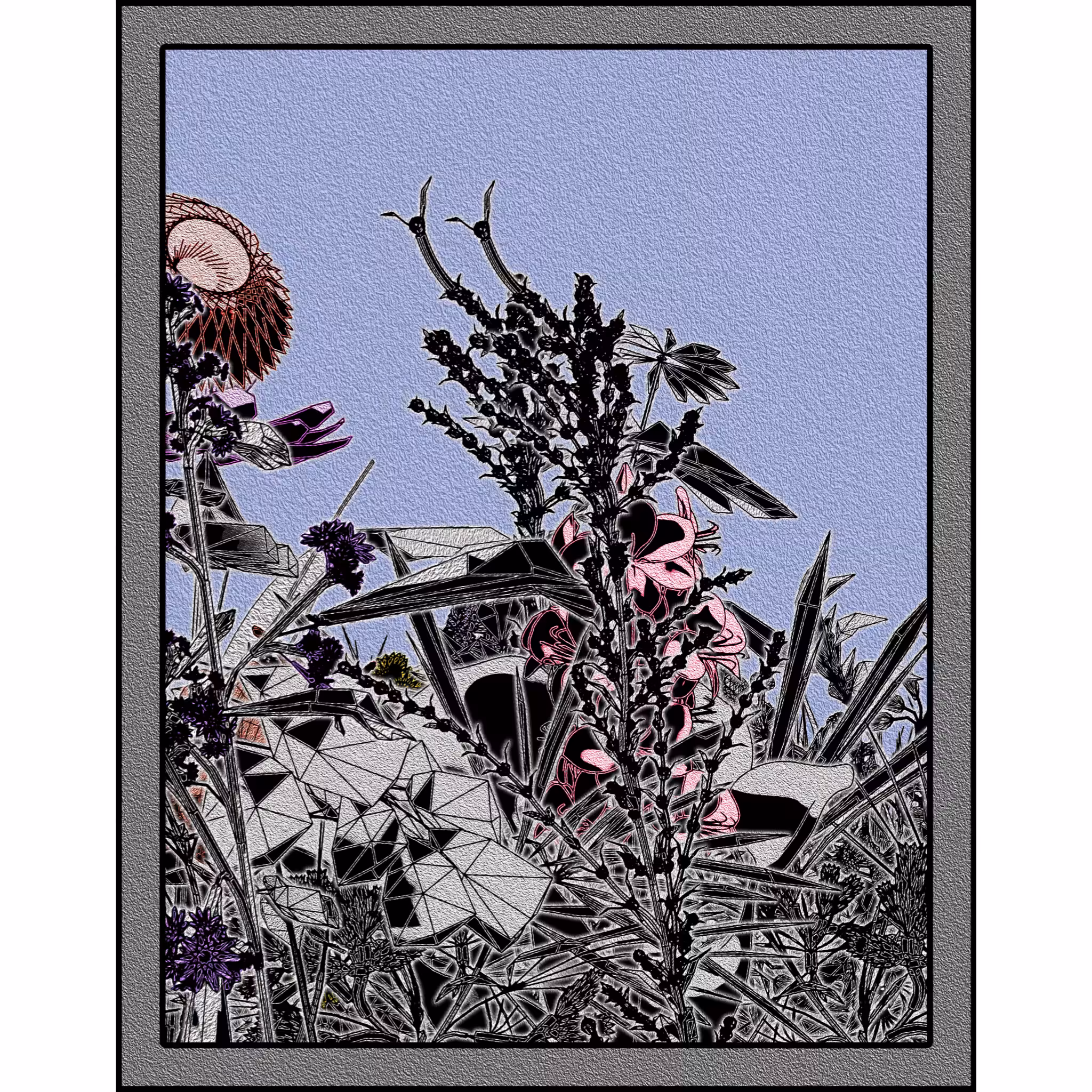 Flower View #142