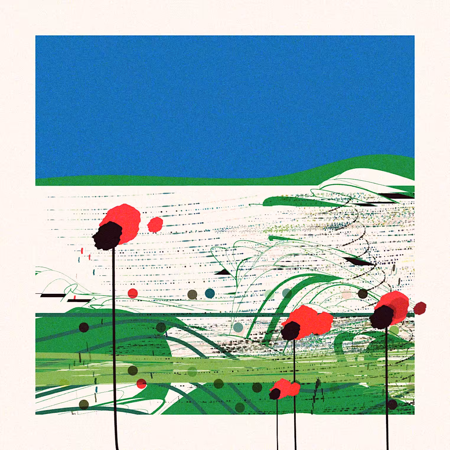 Poppies of Normandy