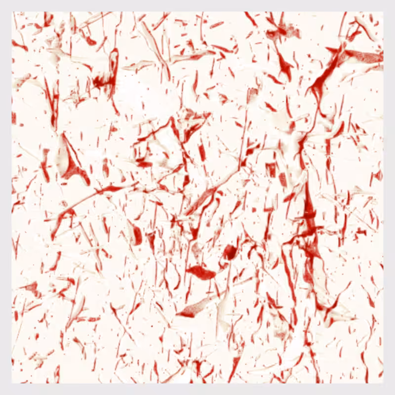 Dynamical System #2