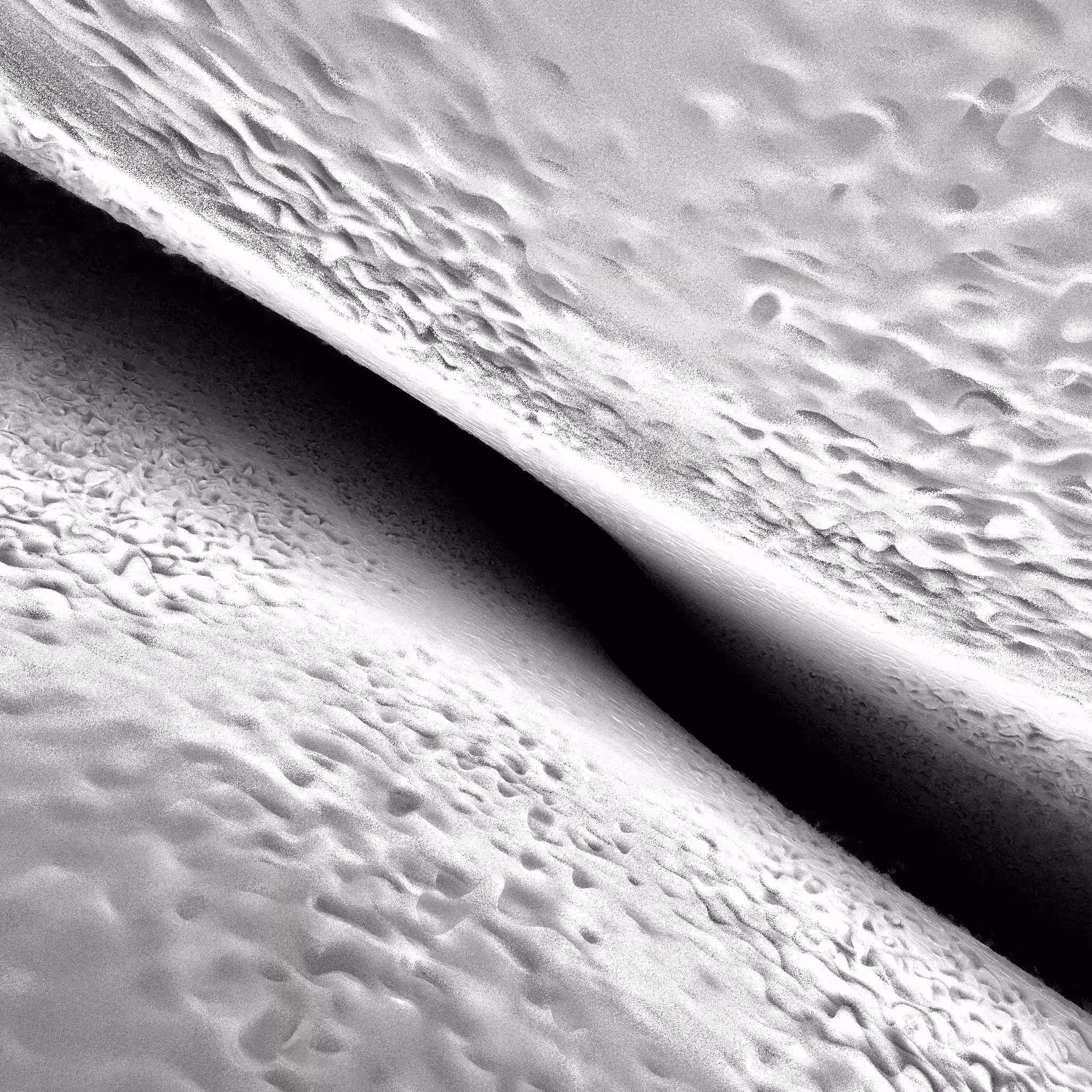 Ataraxis #304