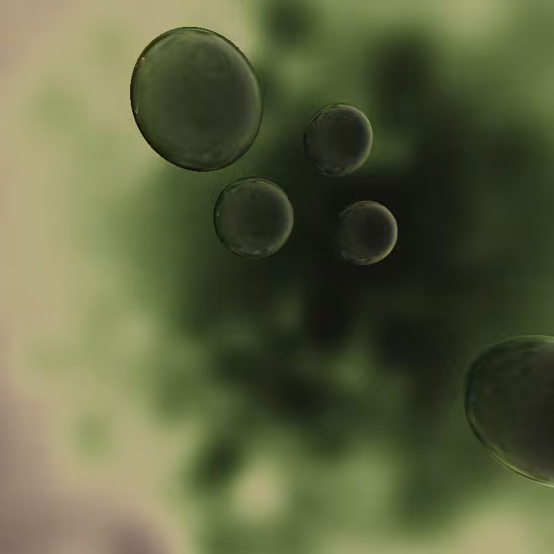 Lucid Dream #3
