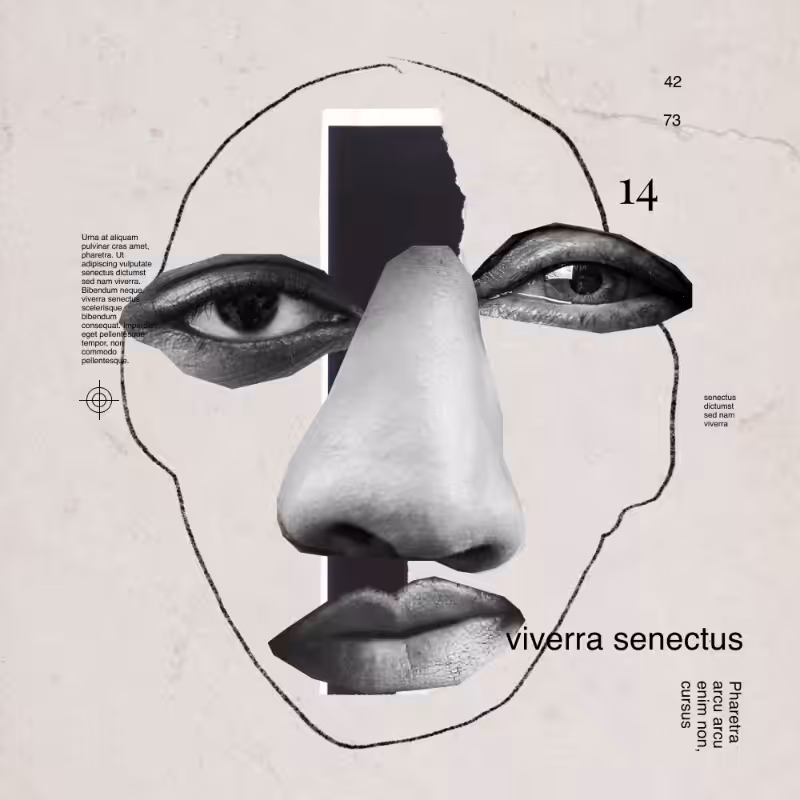Collage faces #127