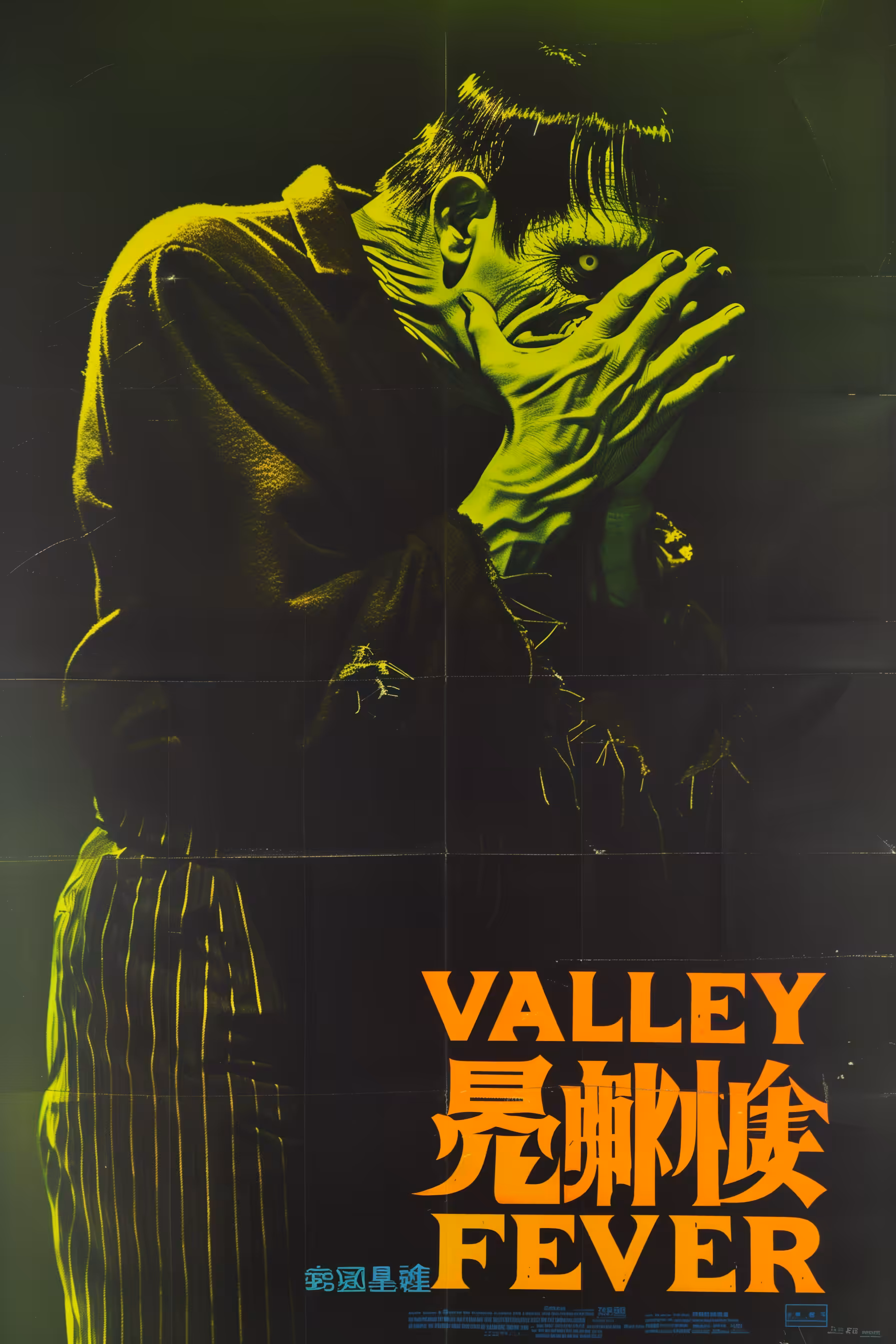 VALLEY FEVER