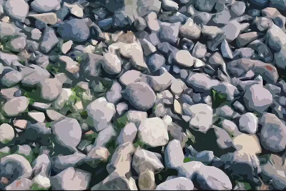 What's under that rock? #001