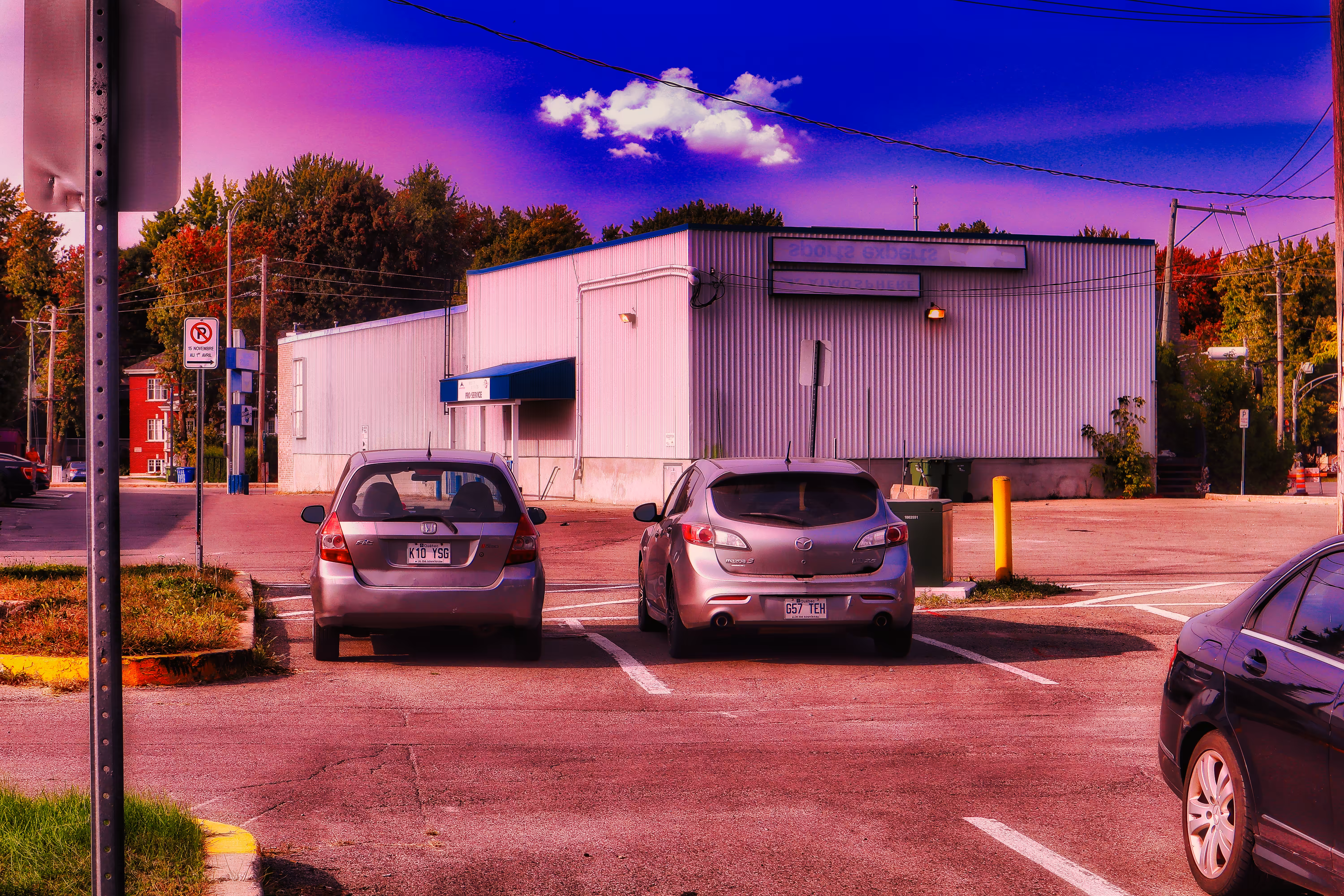 2022: Purple Parking