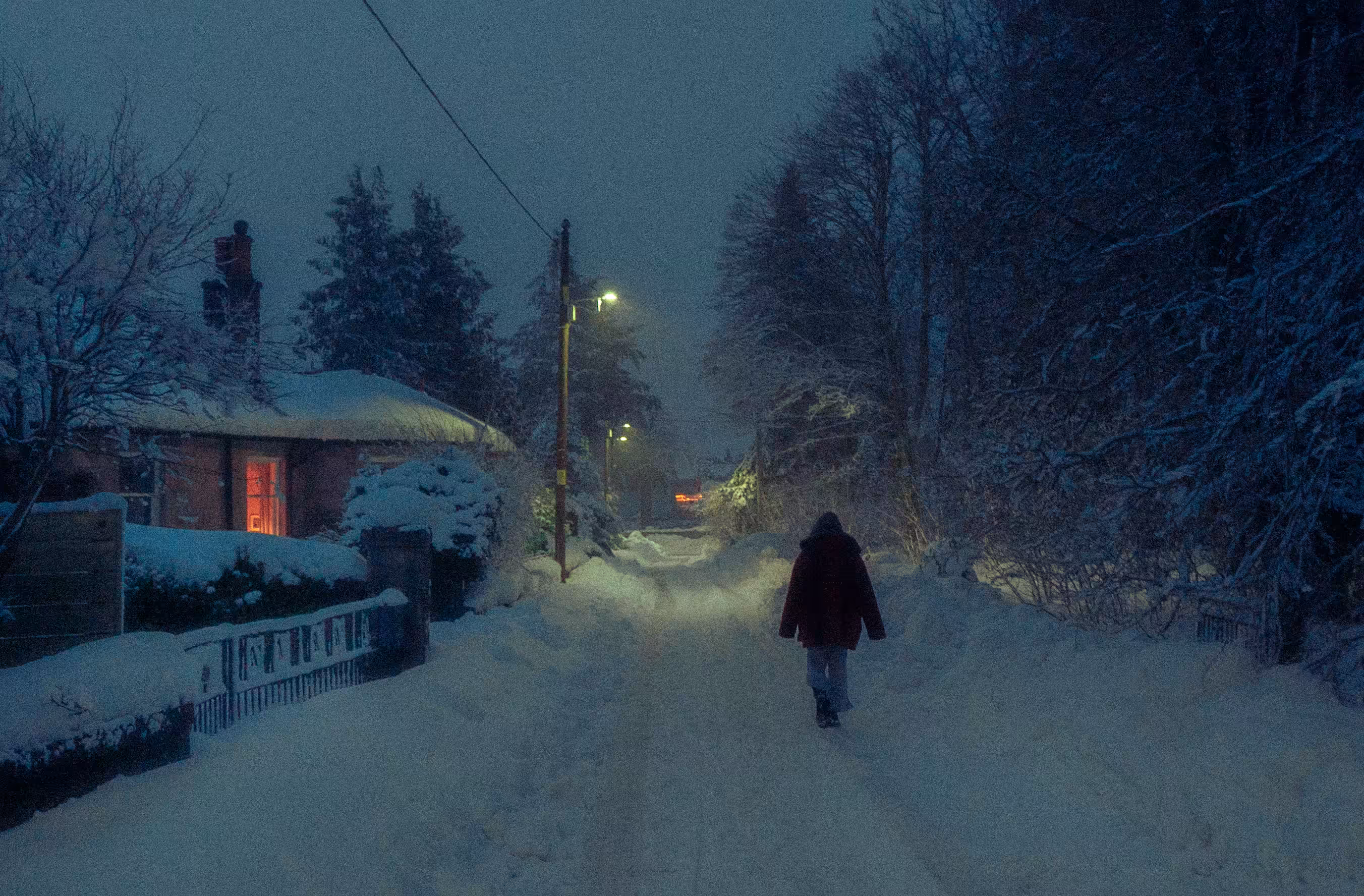 A Cold Winters Night #8