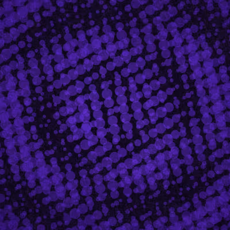 Quantum Foam #3