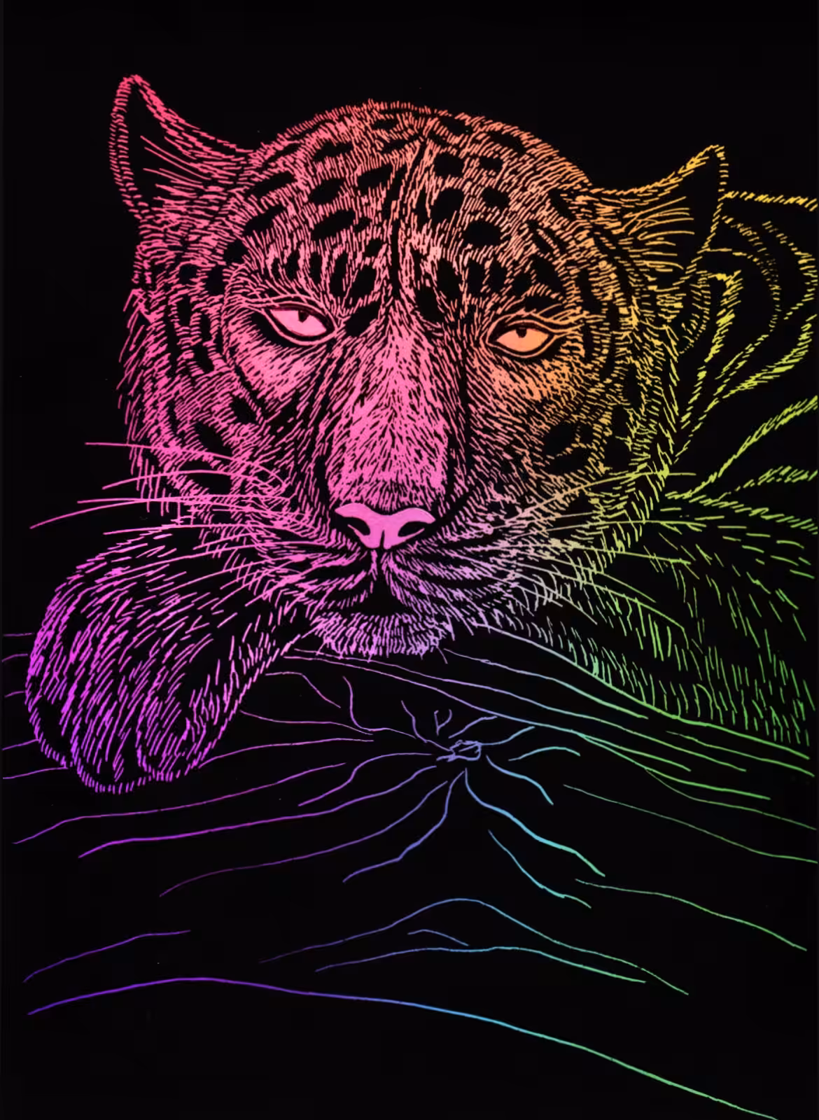 Panther