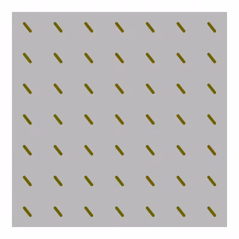 FLATWORLD #55