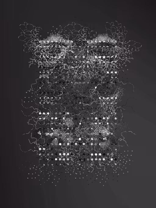 Cuneiform #5