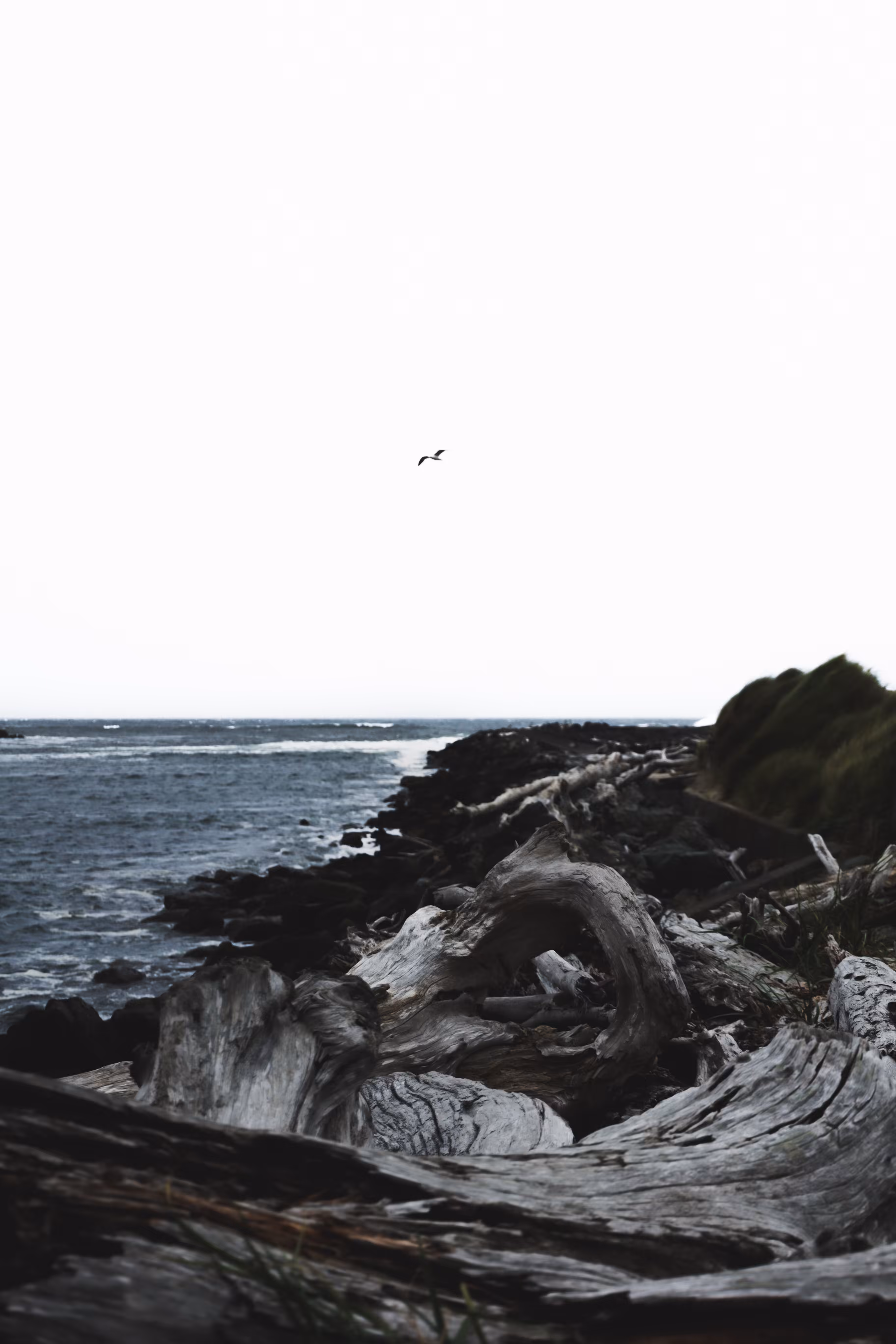 solitary refinement