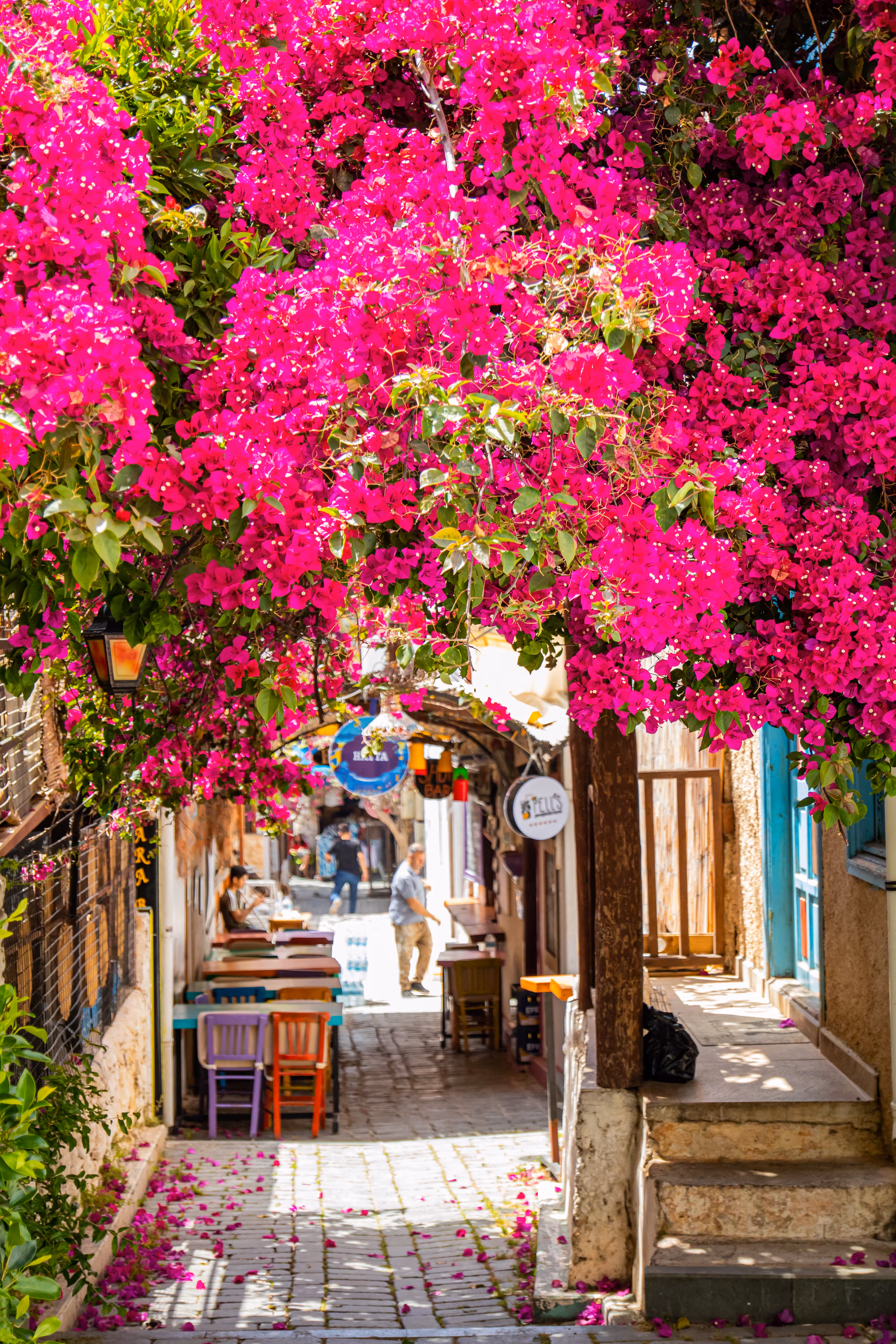 Street of Love