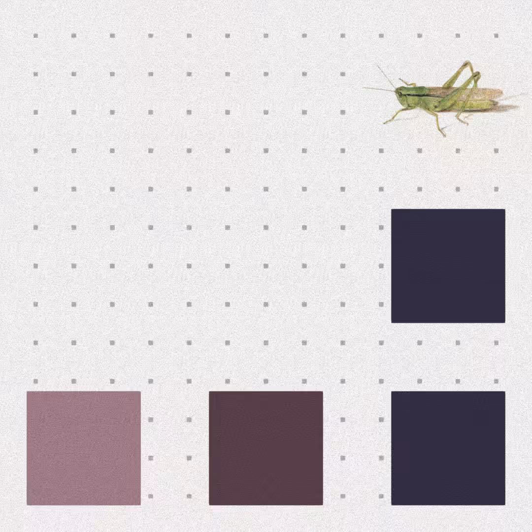 Grasshopper #45