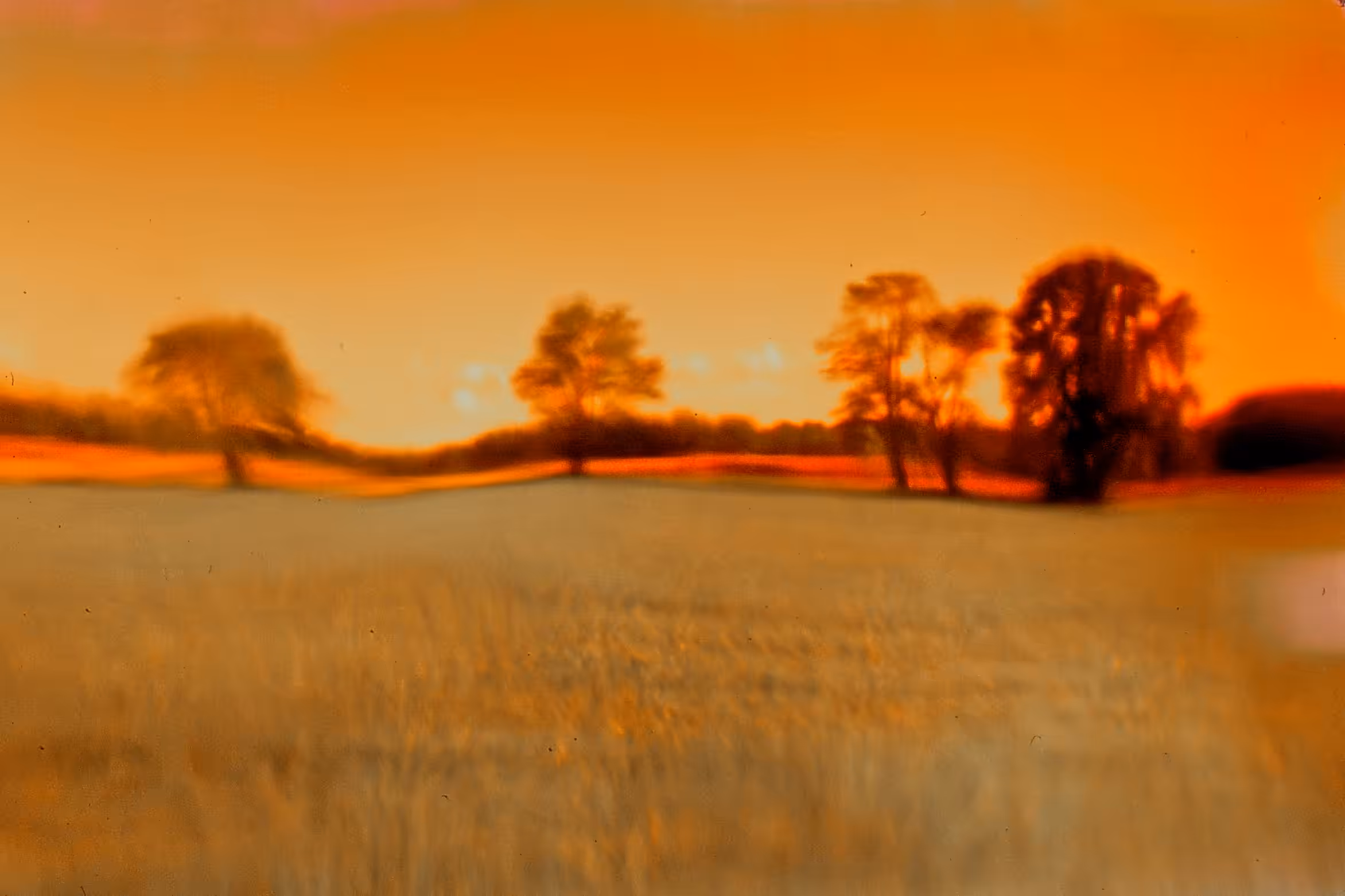 when words glow with the gold of sunshine