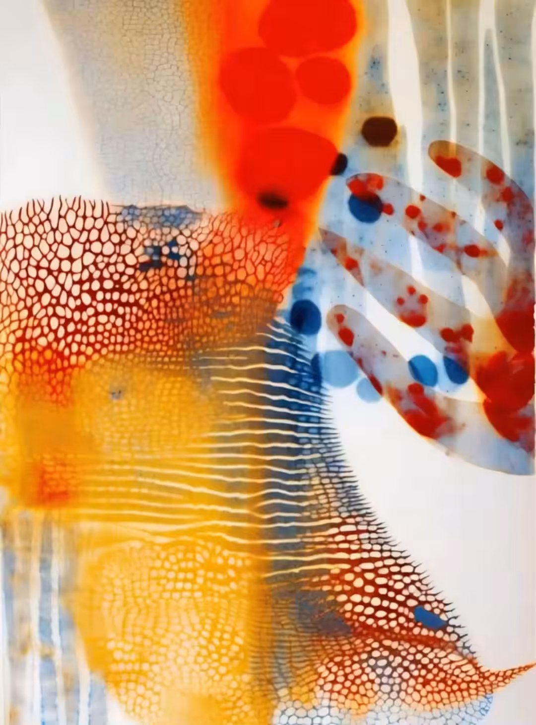 Act VI ~ 6