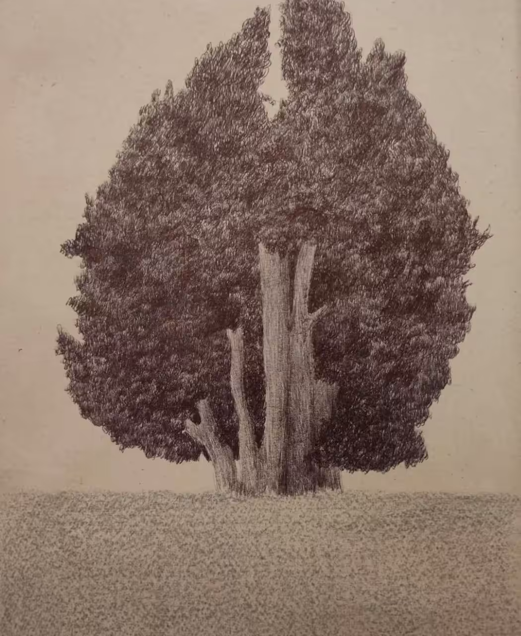 Tree#4