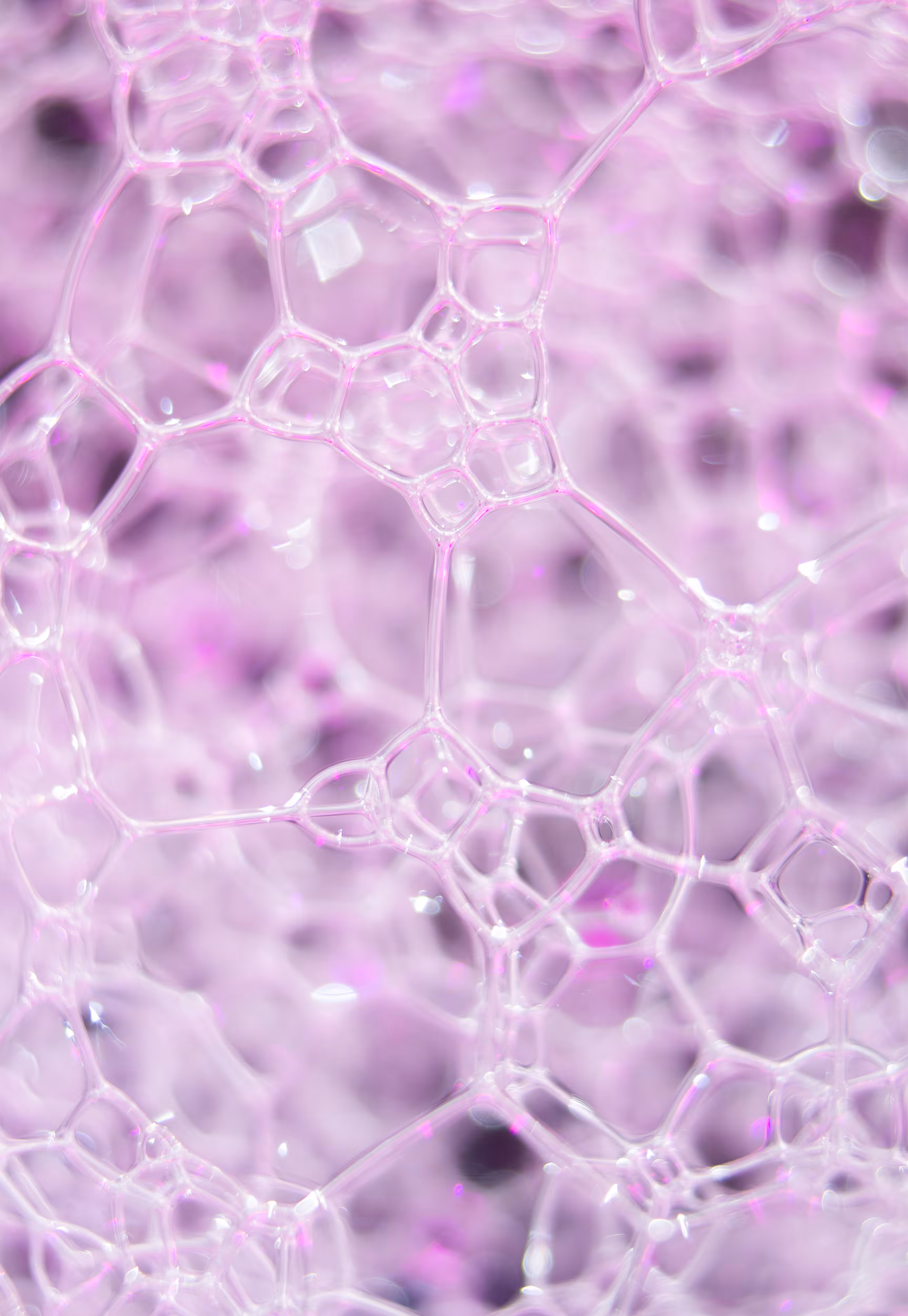 #2 Bubbles