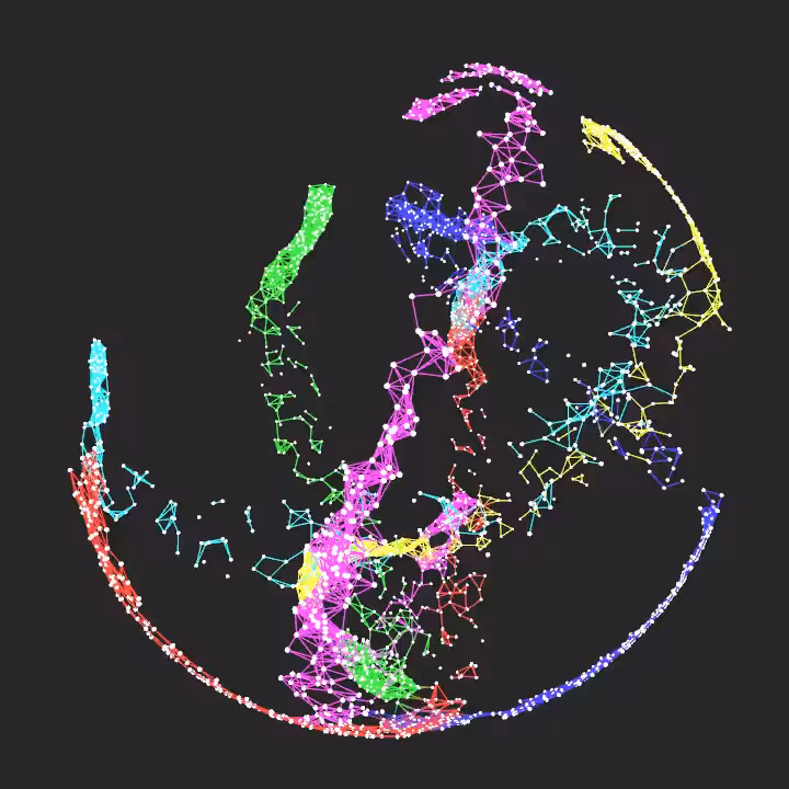 DoodleDeProgramming_20240623