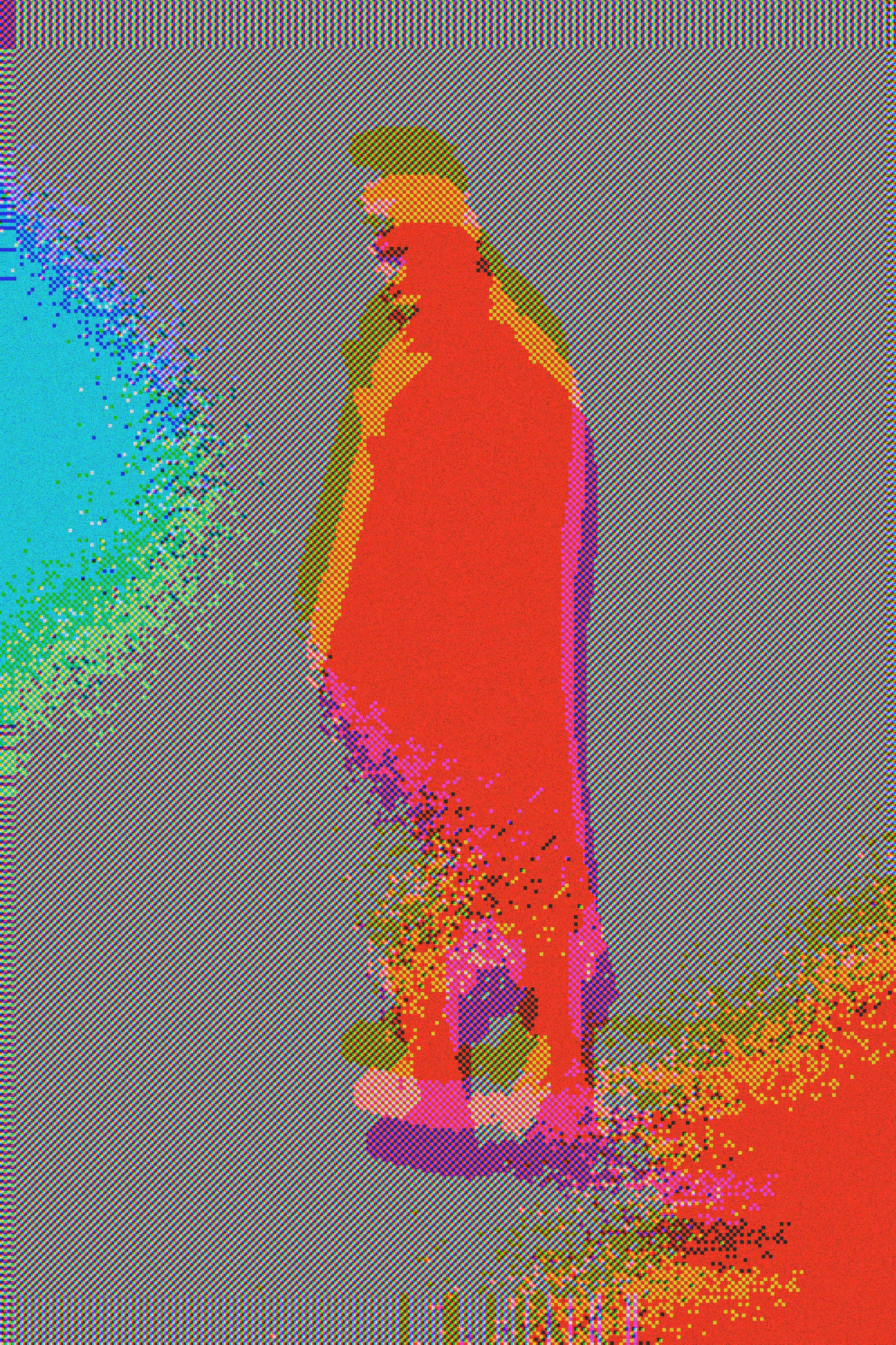 Wayfinder: Watcher