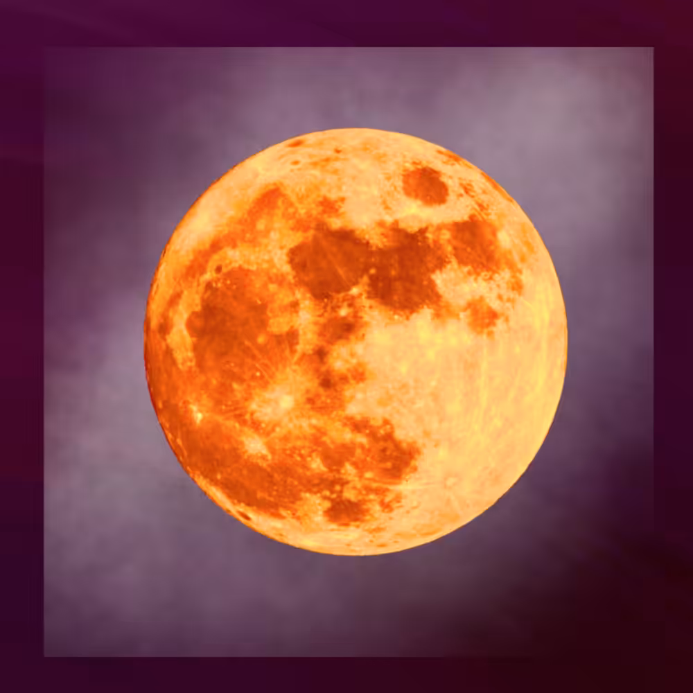 -<Beta Moons>- #23