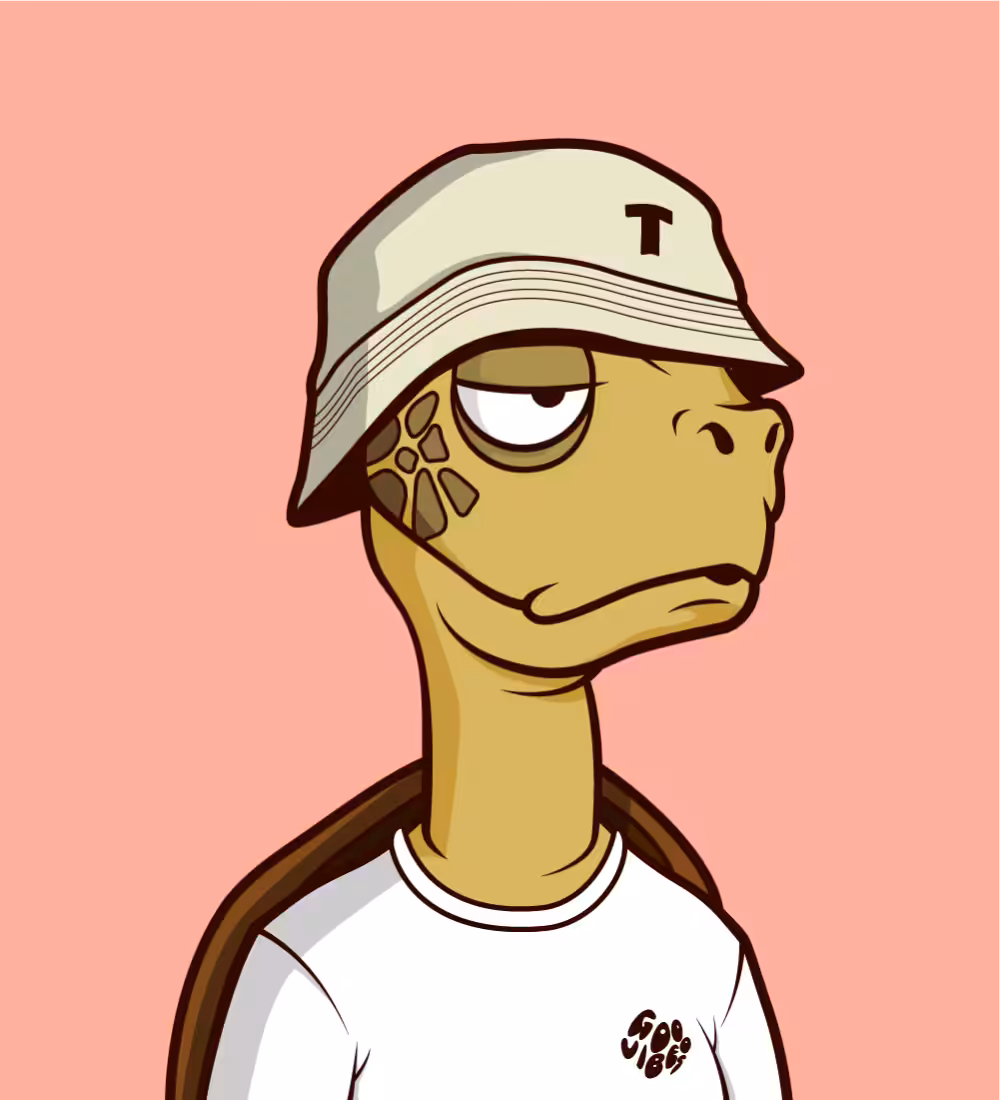 Tiny Turtle 123