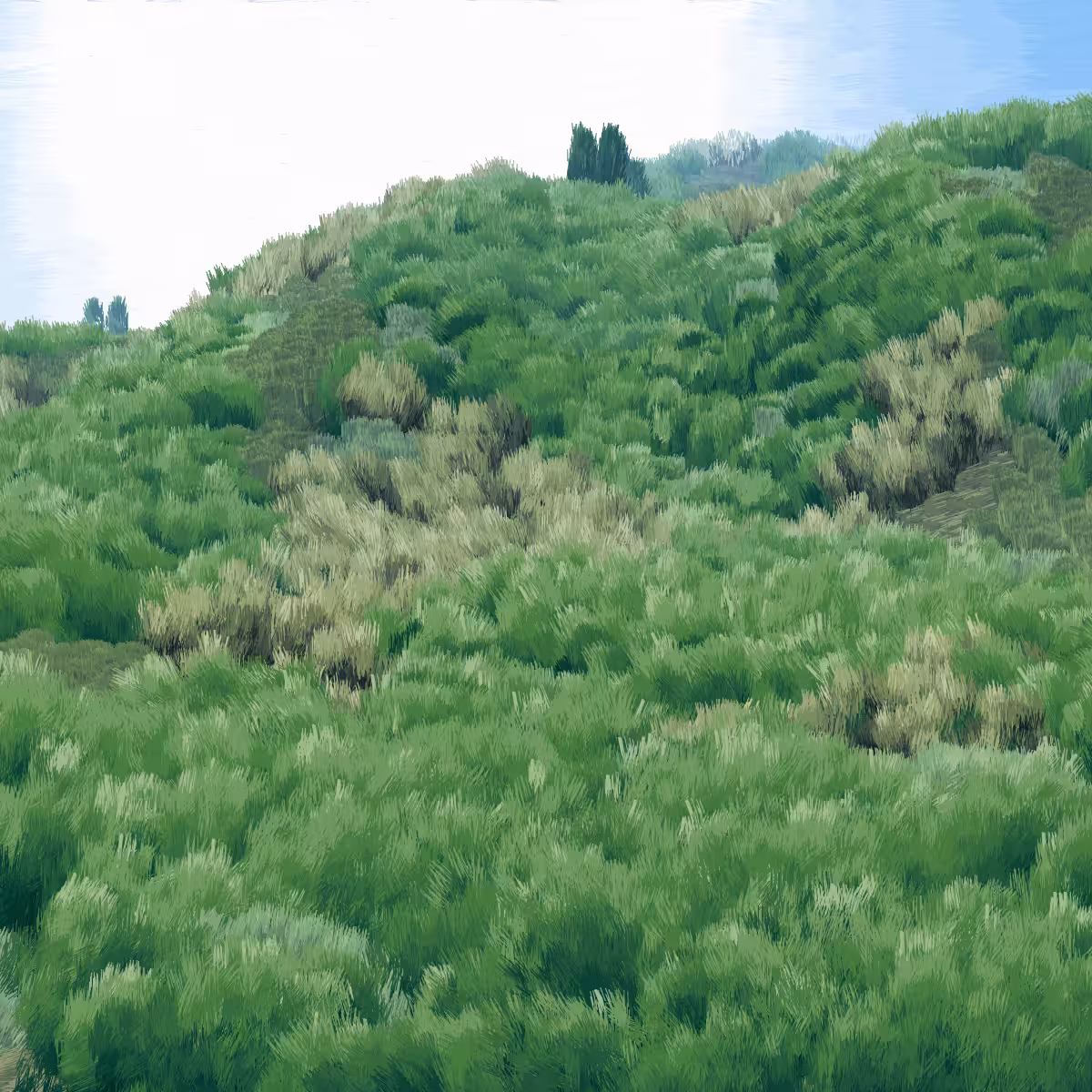 Provence #38