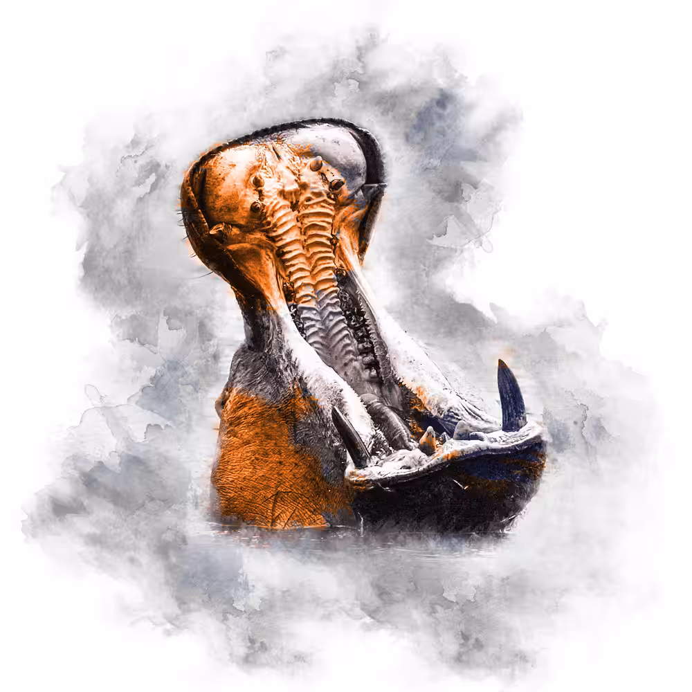ORANGE SERIES - HIPPO