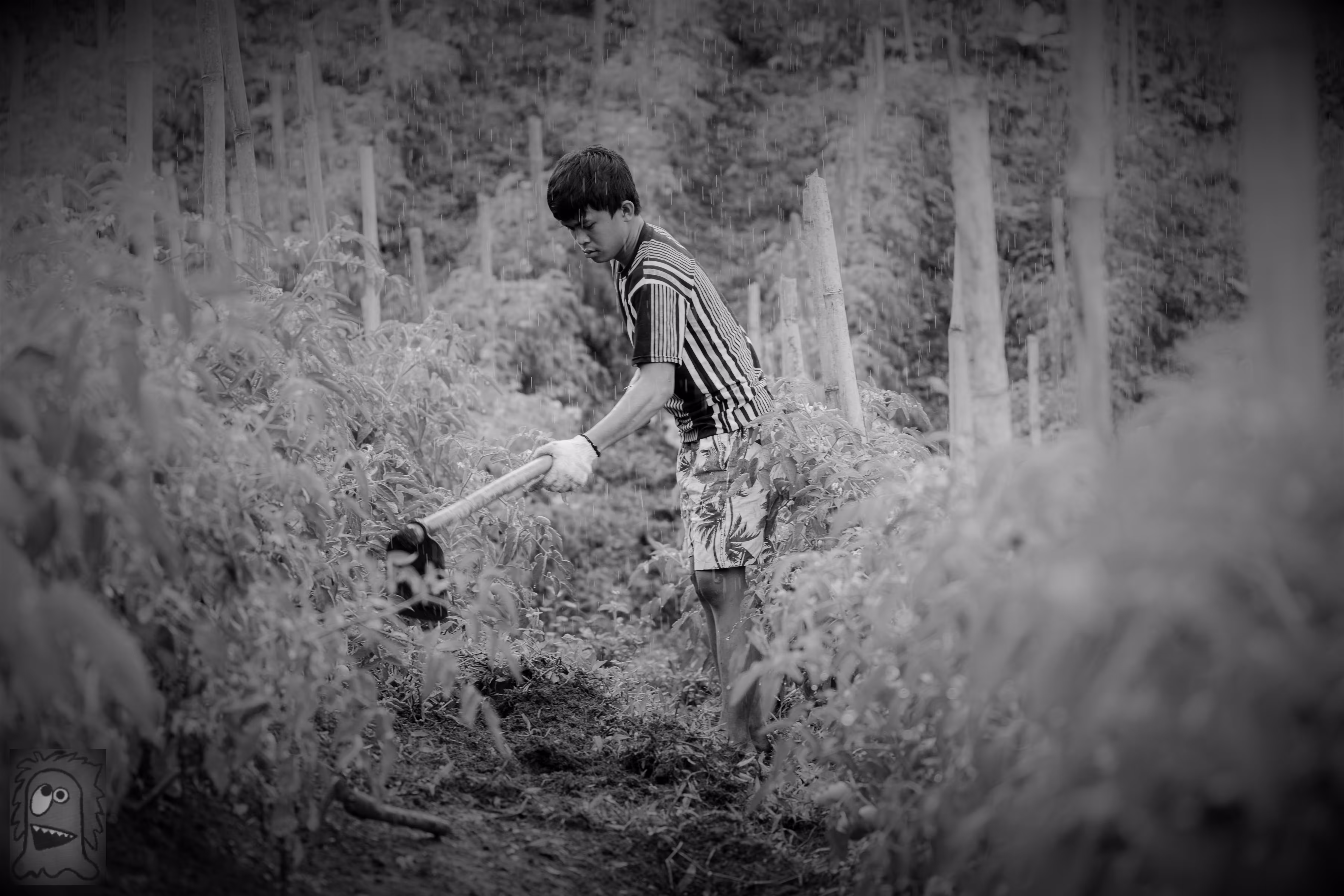 "The Fields of Grey Visual 9" Tomorrow is now I