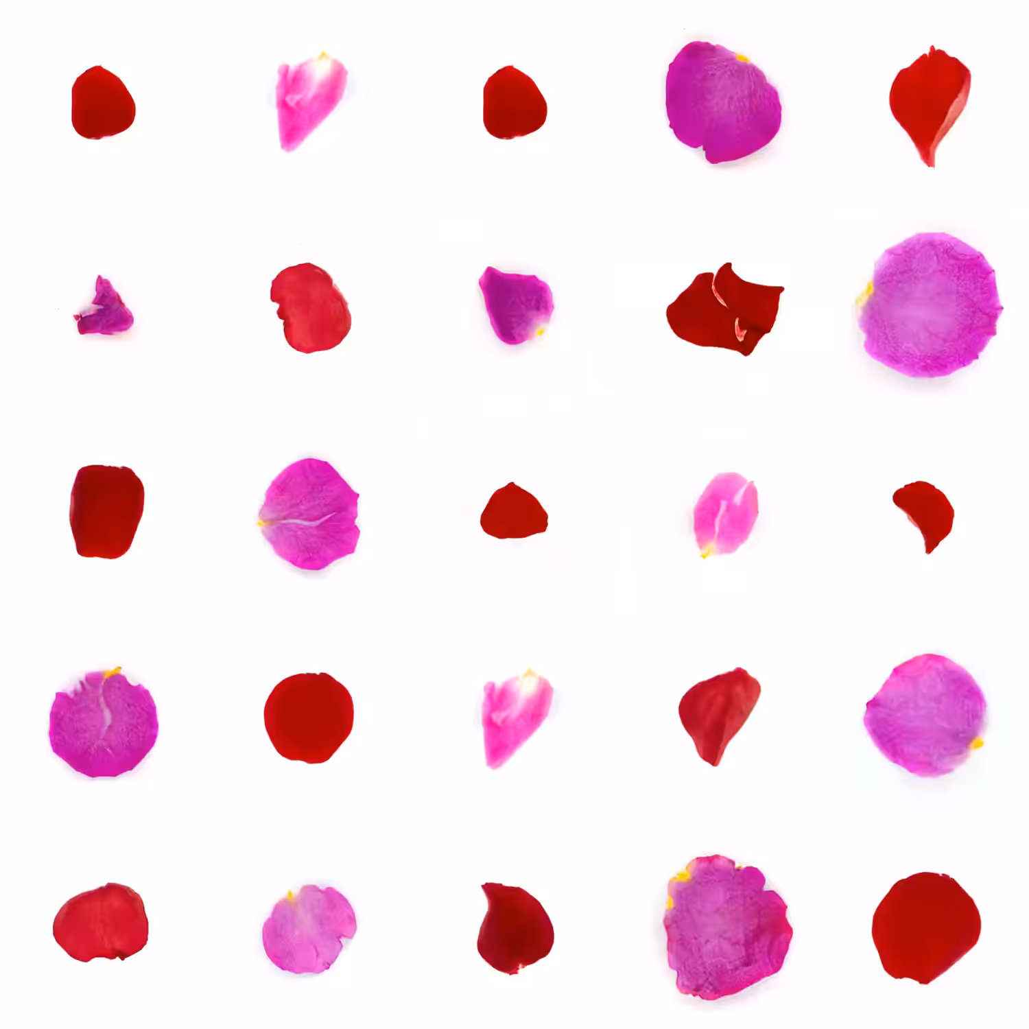 Infinite Petals 5x5#90