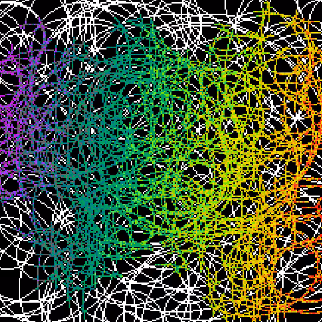 webs