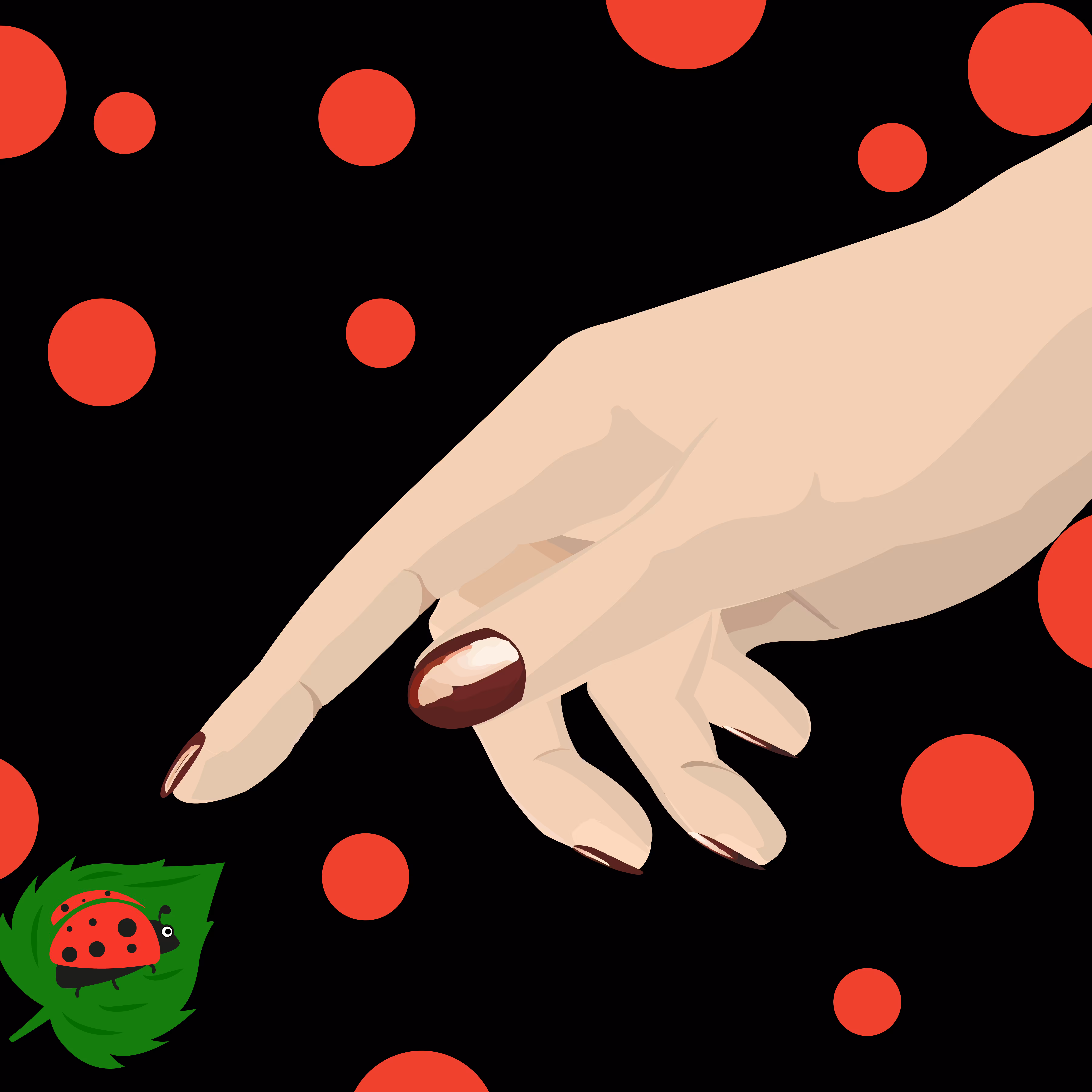 Ladybug