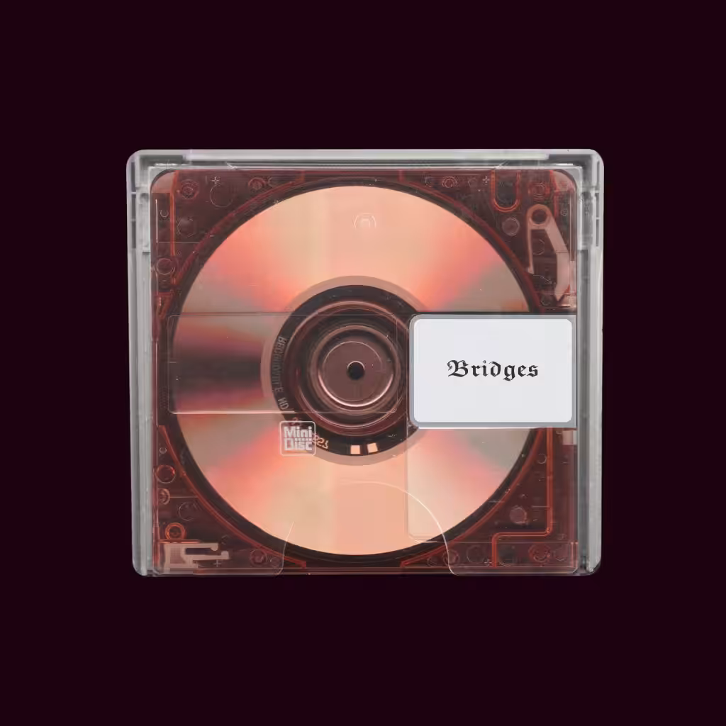 𝖉𝖎𝖌𝖎𝖙𝖆𝖑 𝖒𝖔𝖘𝖘 - 𝖇𝖗𝖎𝖉𝖌𝖊𝖘