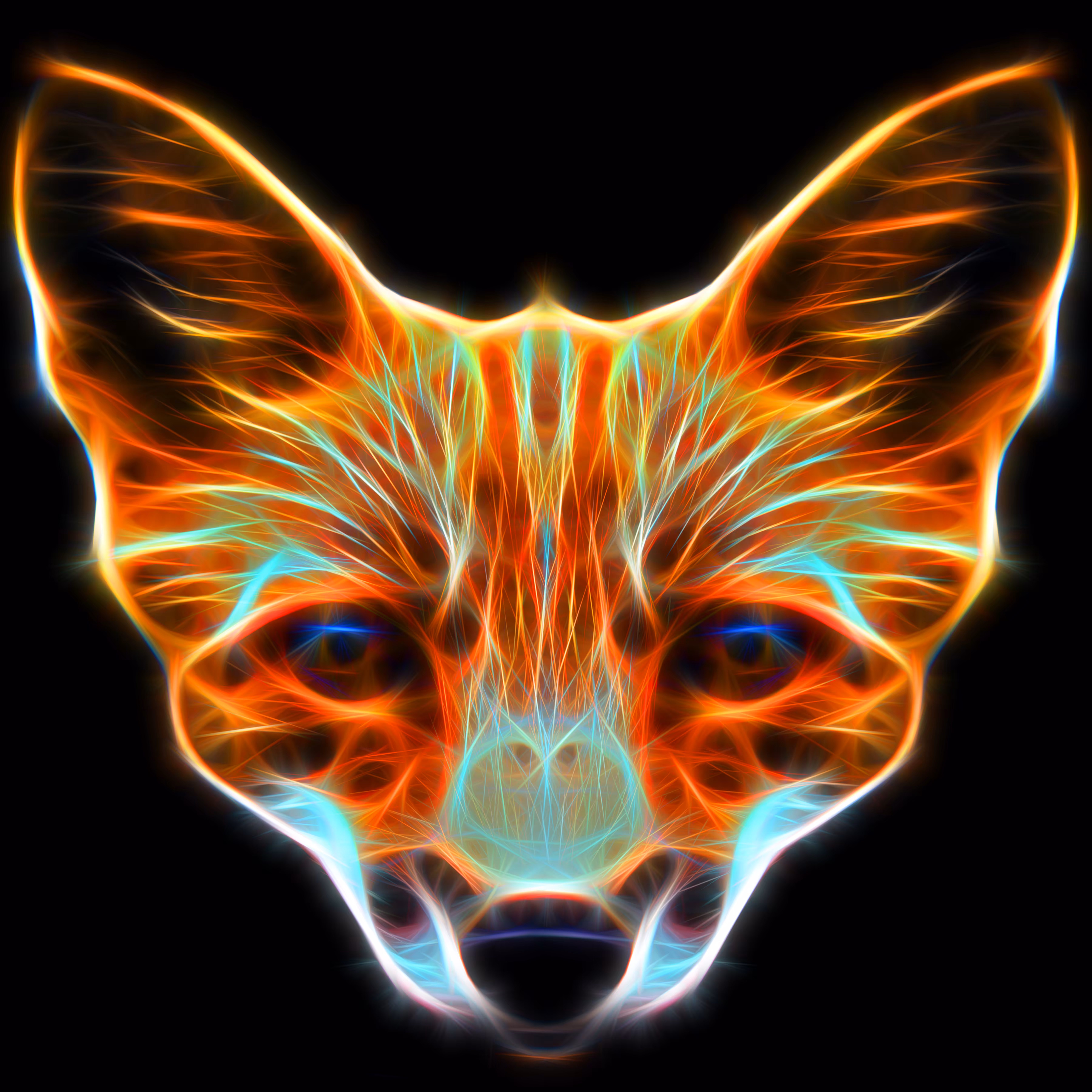 Vulpes