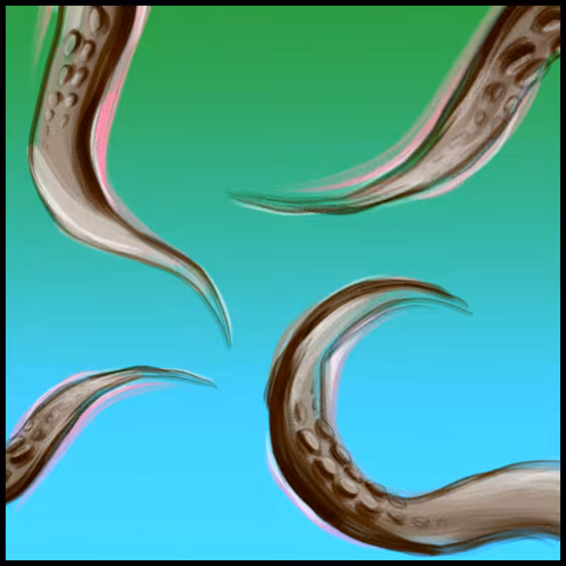 tentacles #6