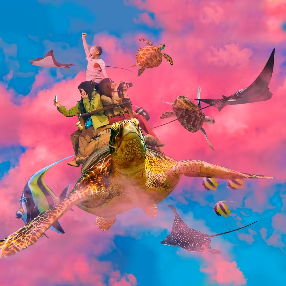 Sky Turtle Ride