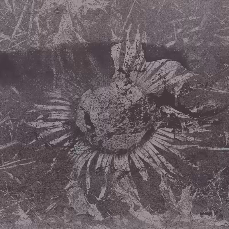 Plant remains #9