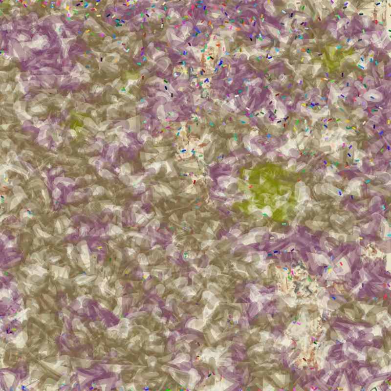 Petri 1500 #1066