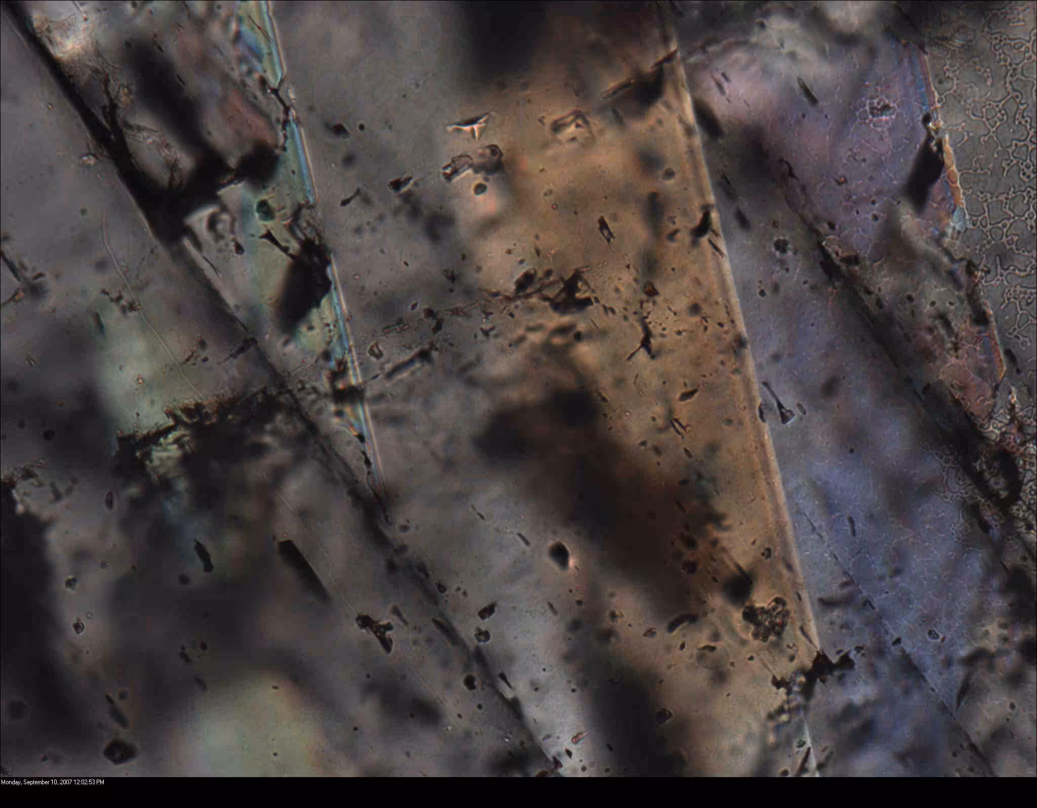 IoM-28 40x primary fluid inclusion CC