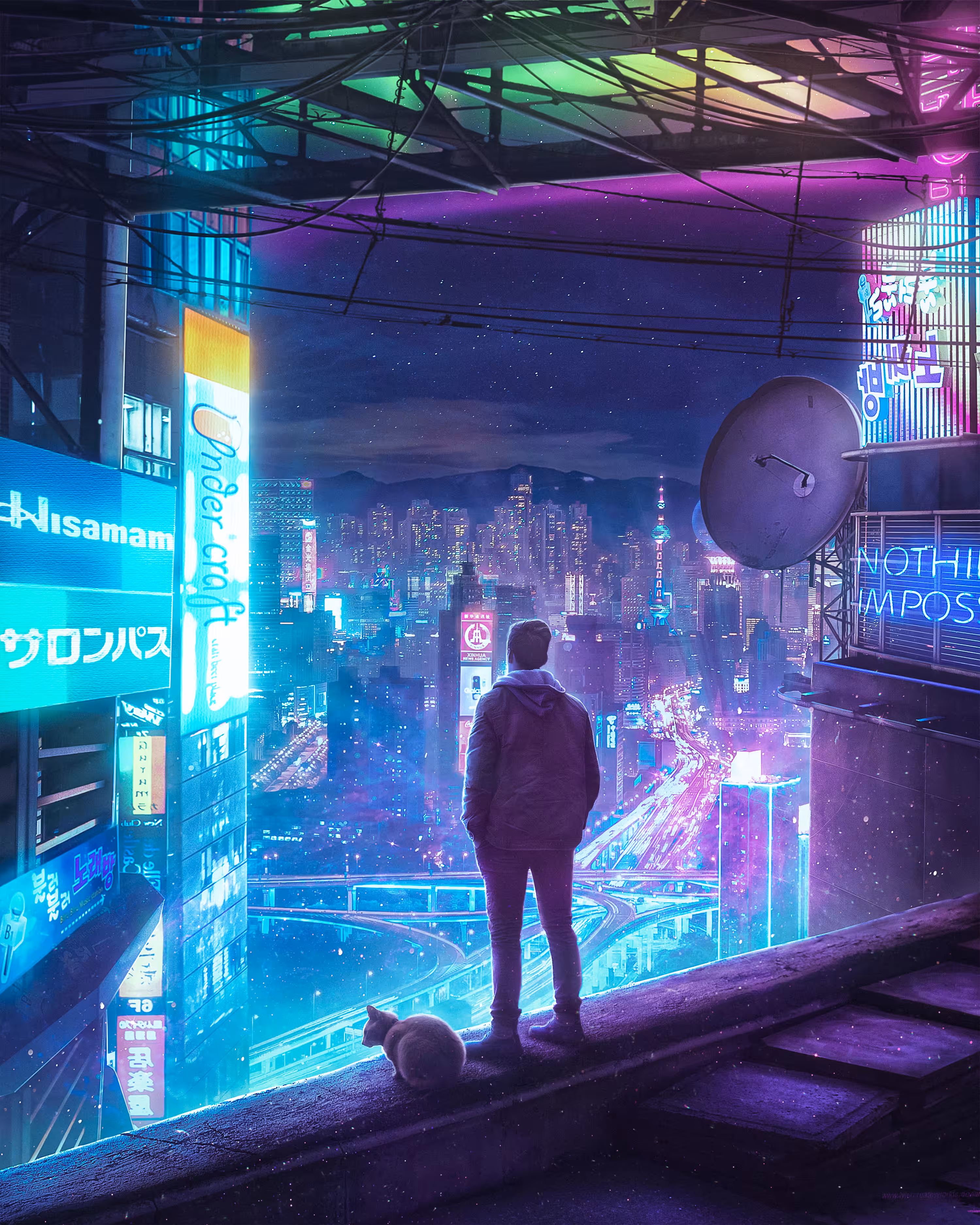 Cyber City