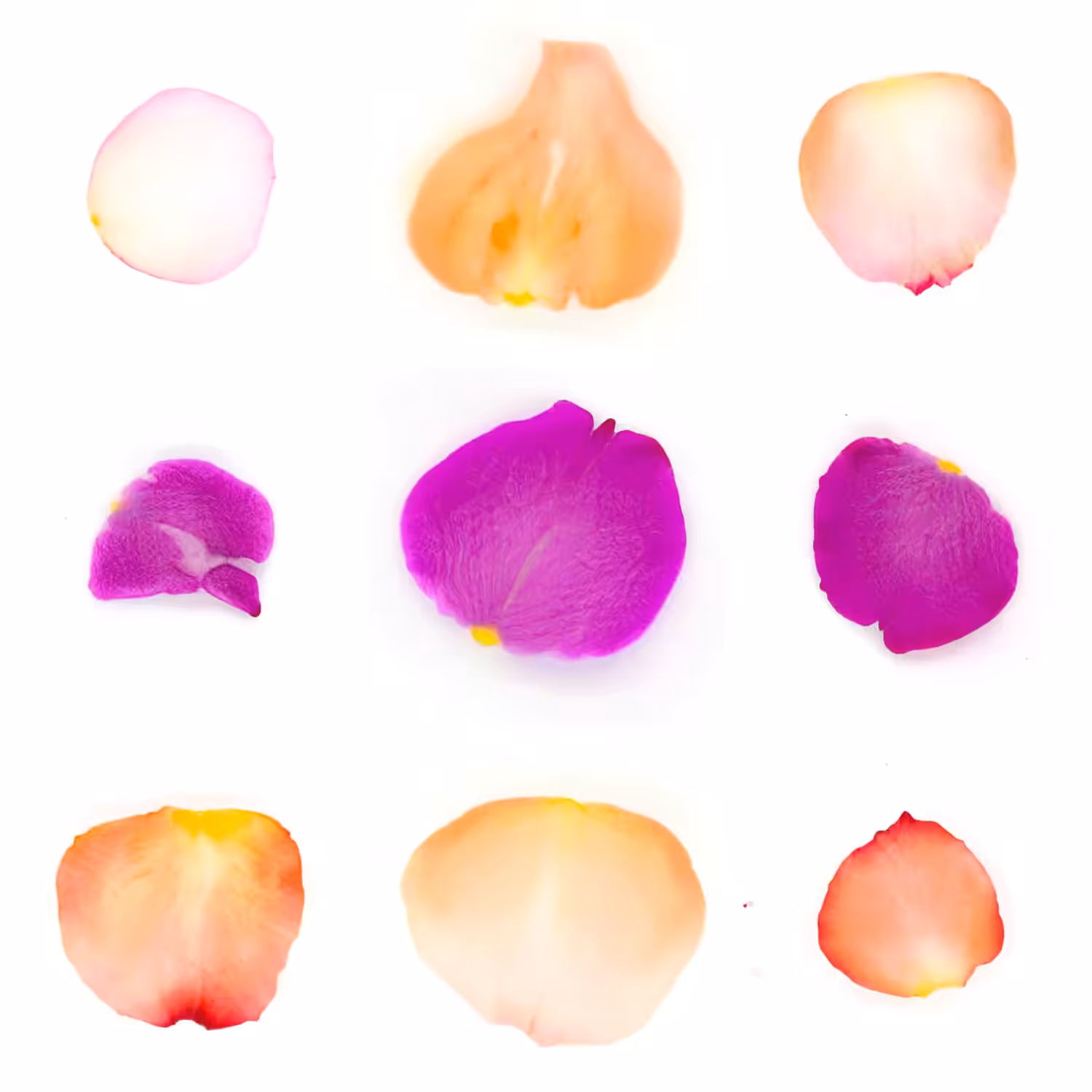 Infinite Petals 3x3#20172