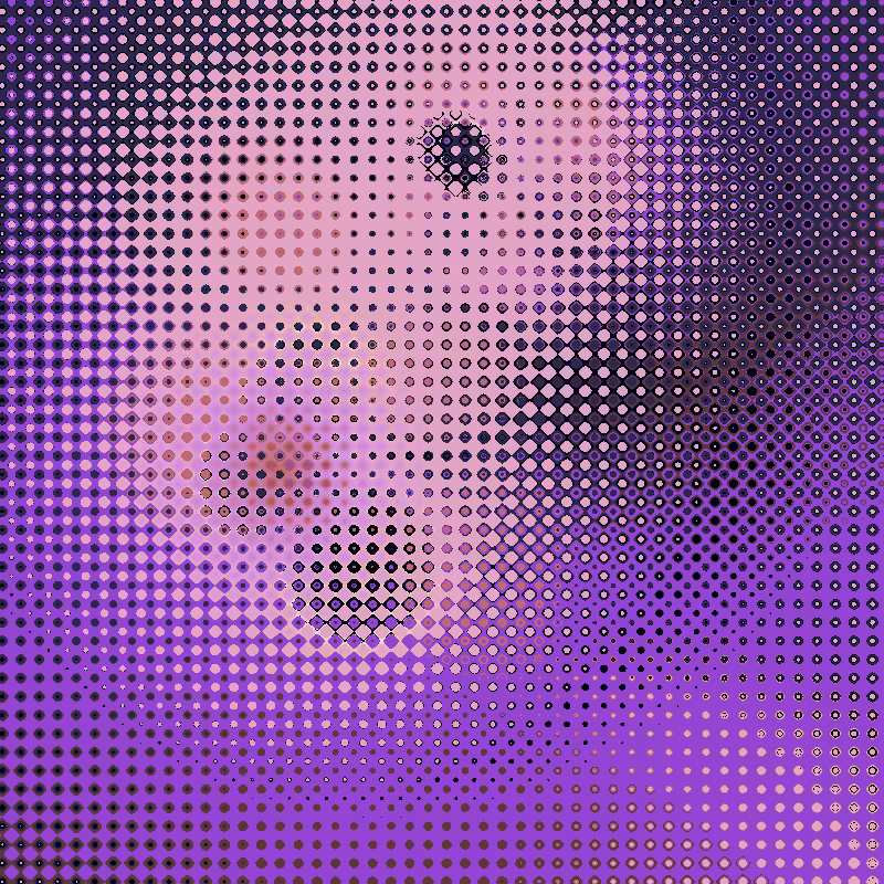 Focus #16