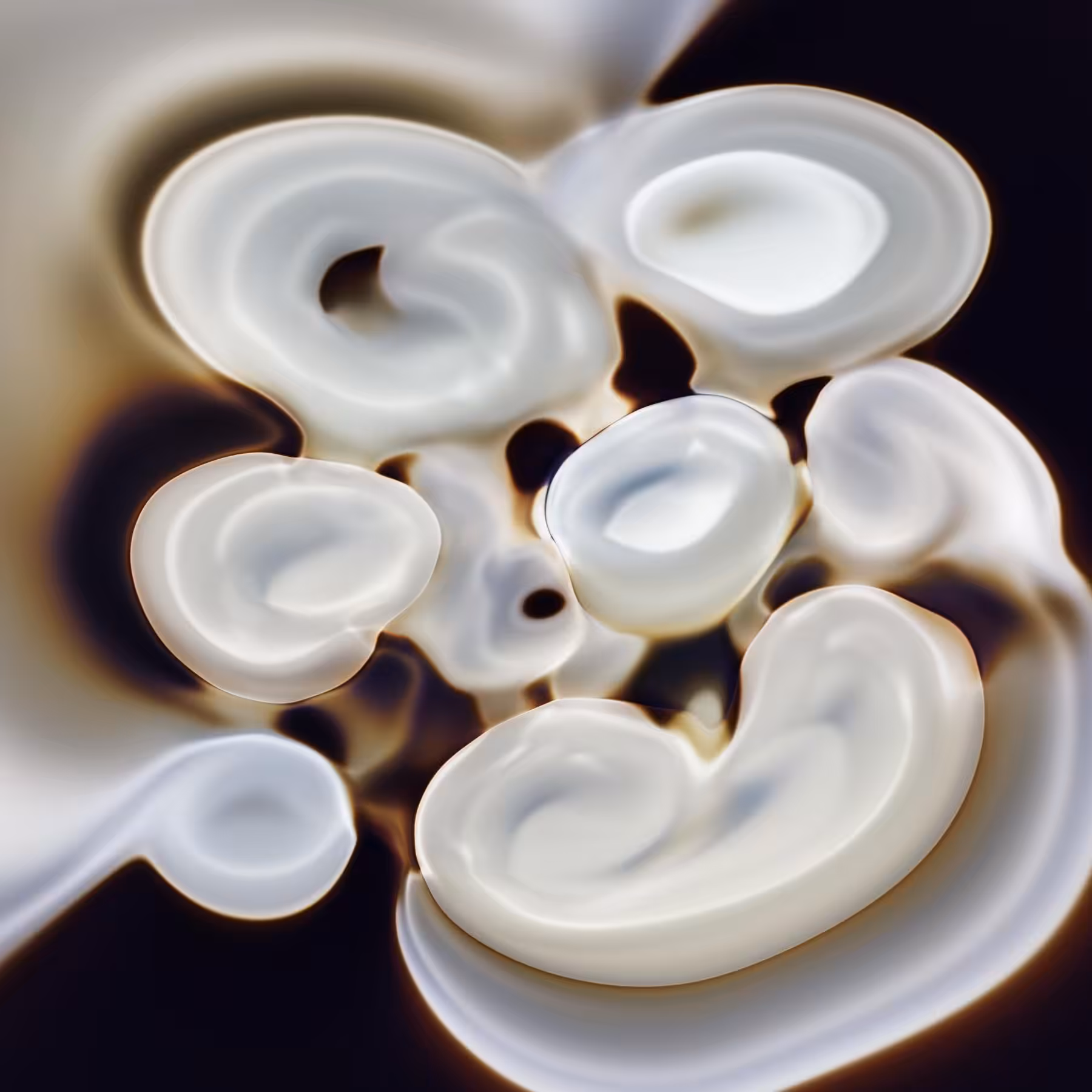 Embryo Flowers
