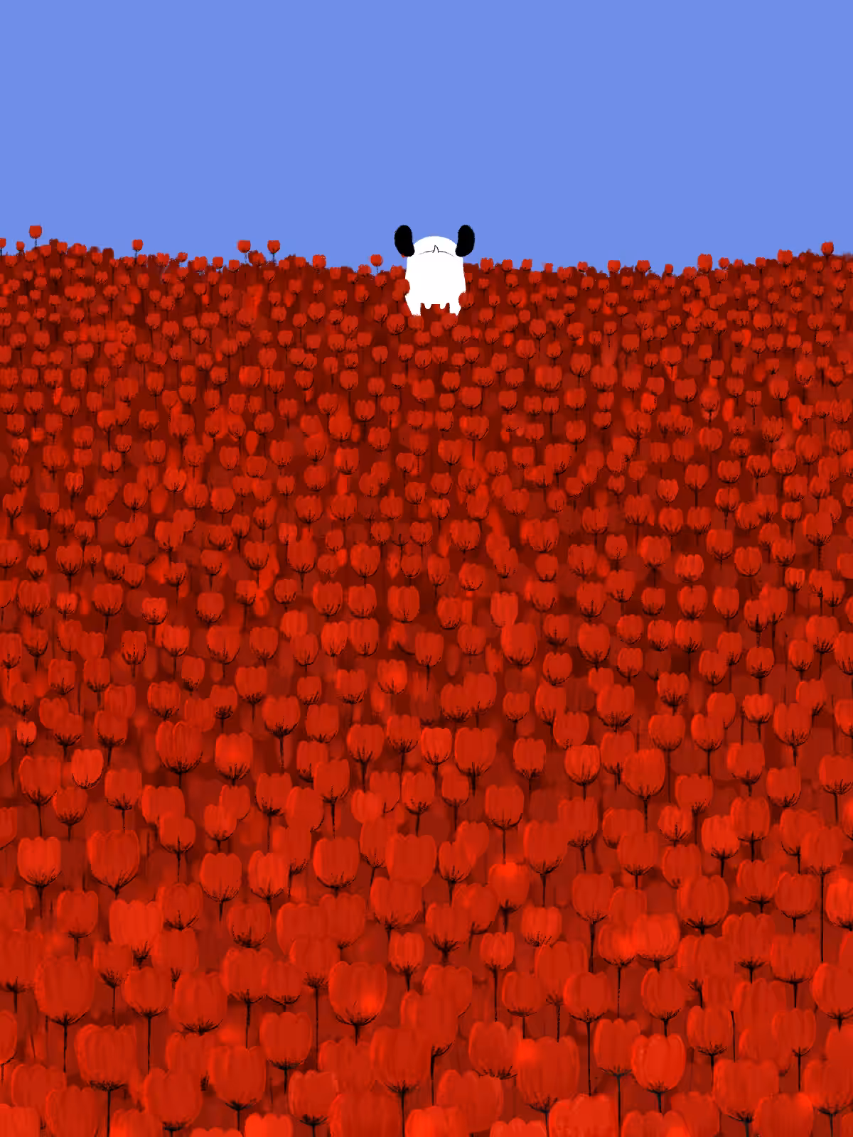 Jimmy in the flower field