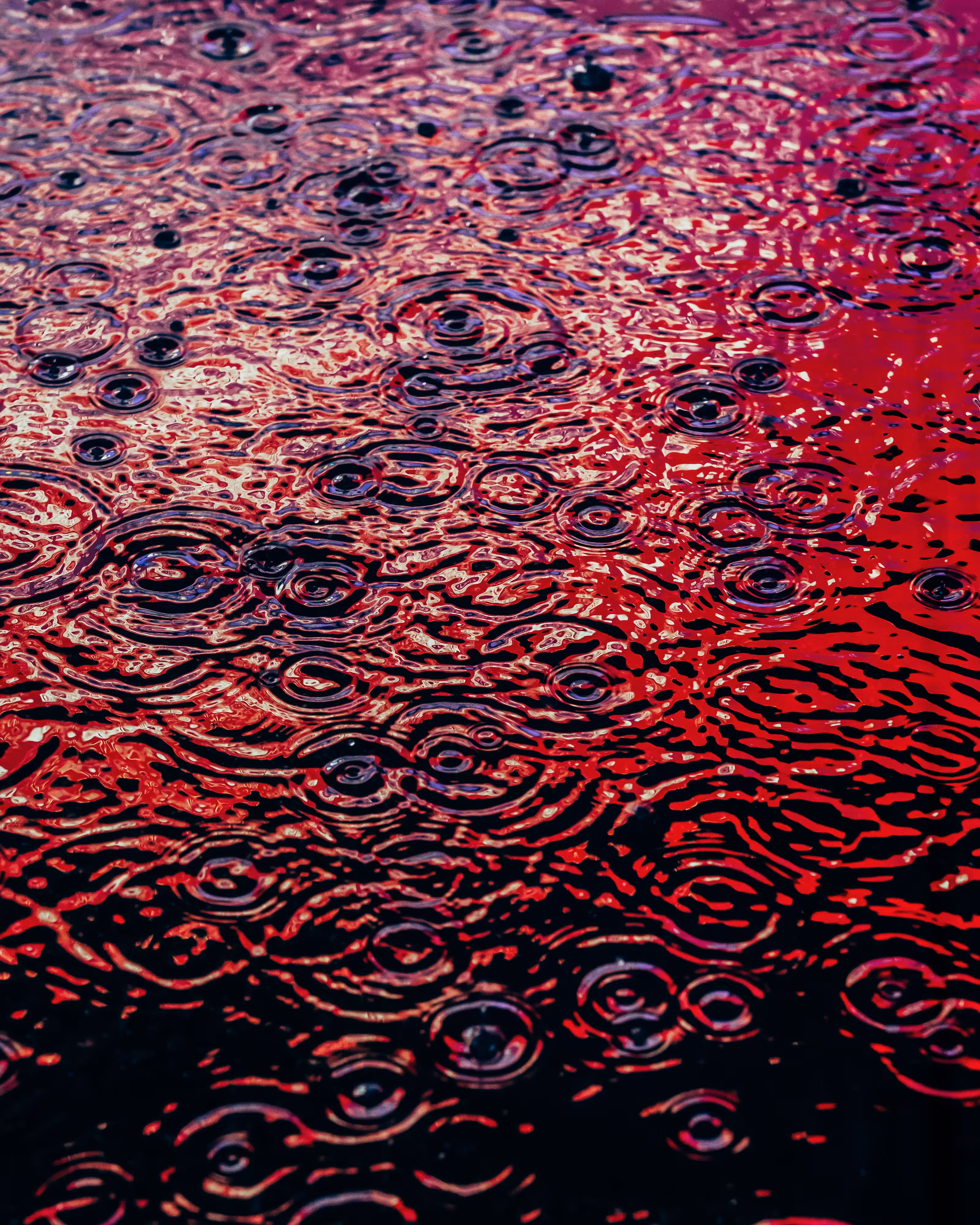 DRIP DROP: DRIP #814